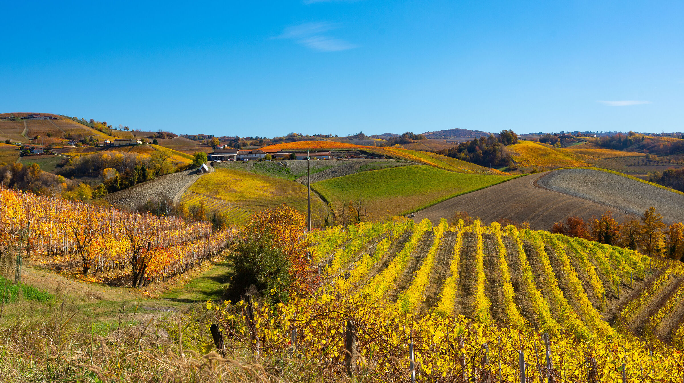 Langhe autunno 2025