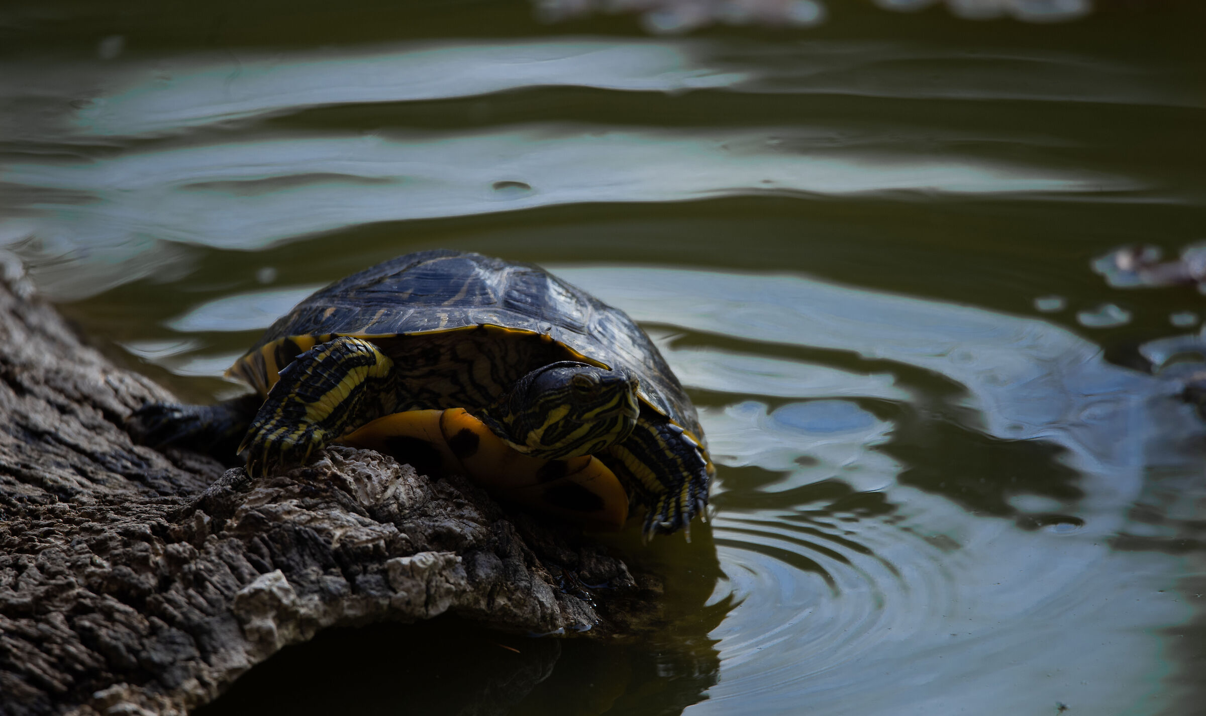 That you look at yourself