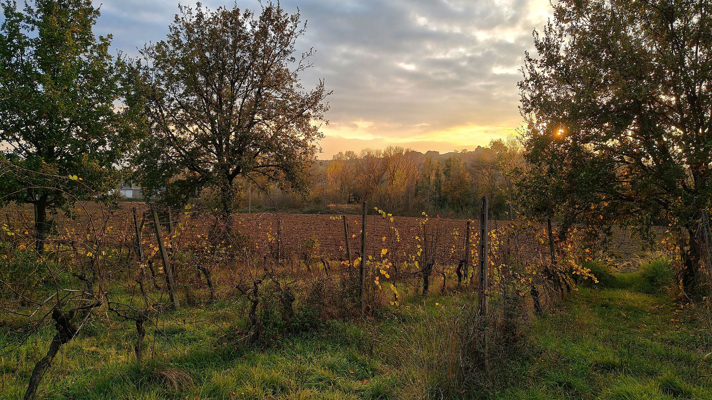 Autumn light & colors