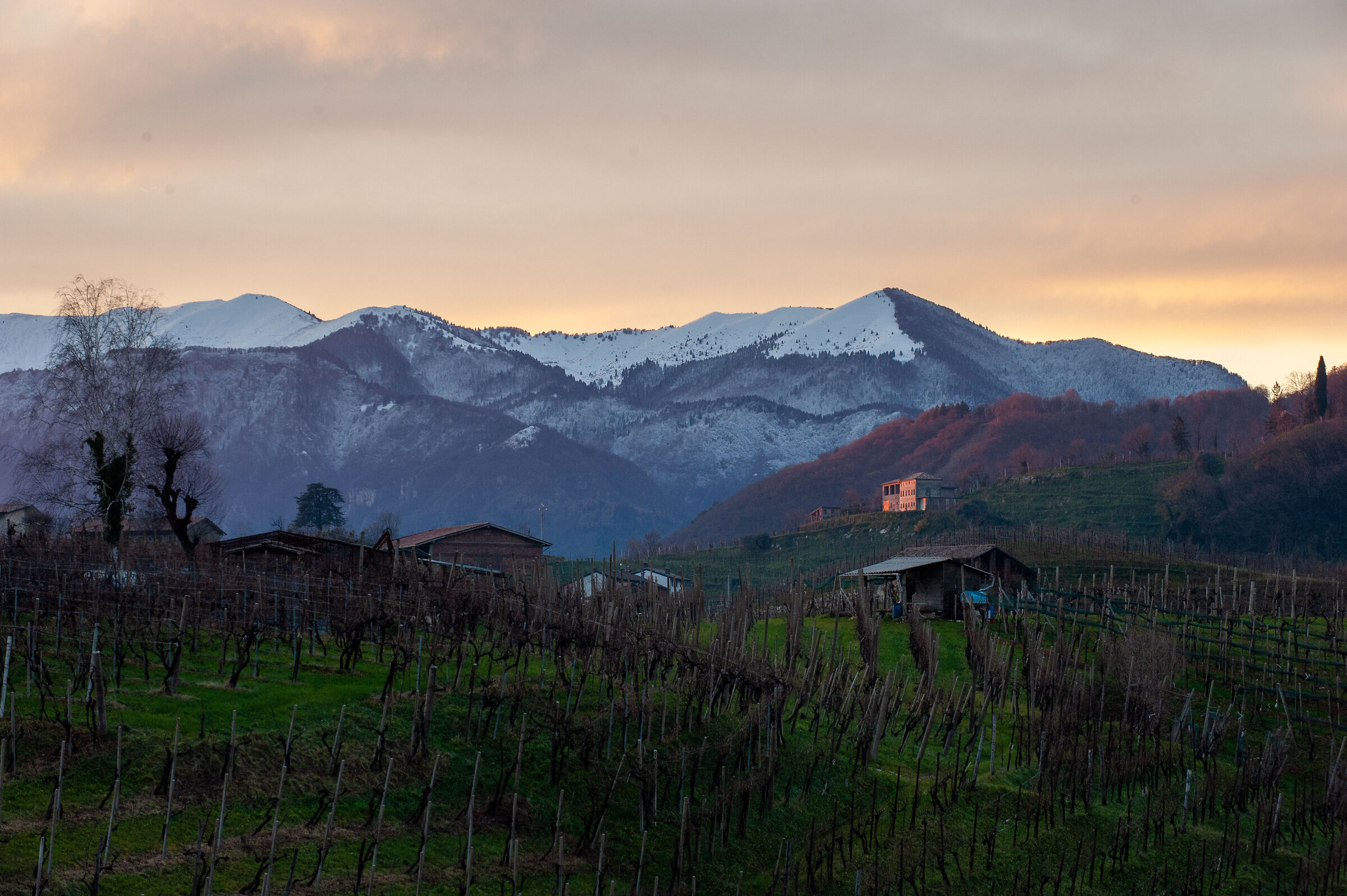 Tramonto docg a Valdobbiadene