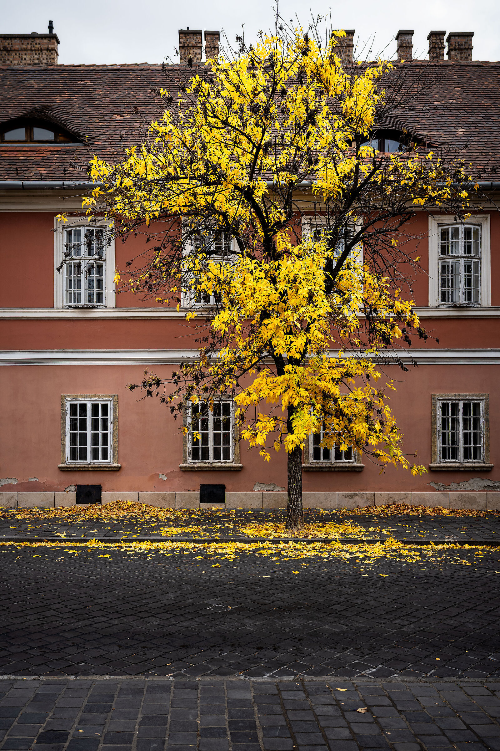 And it was all yellow