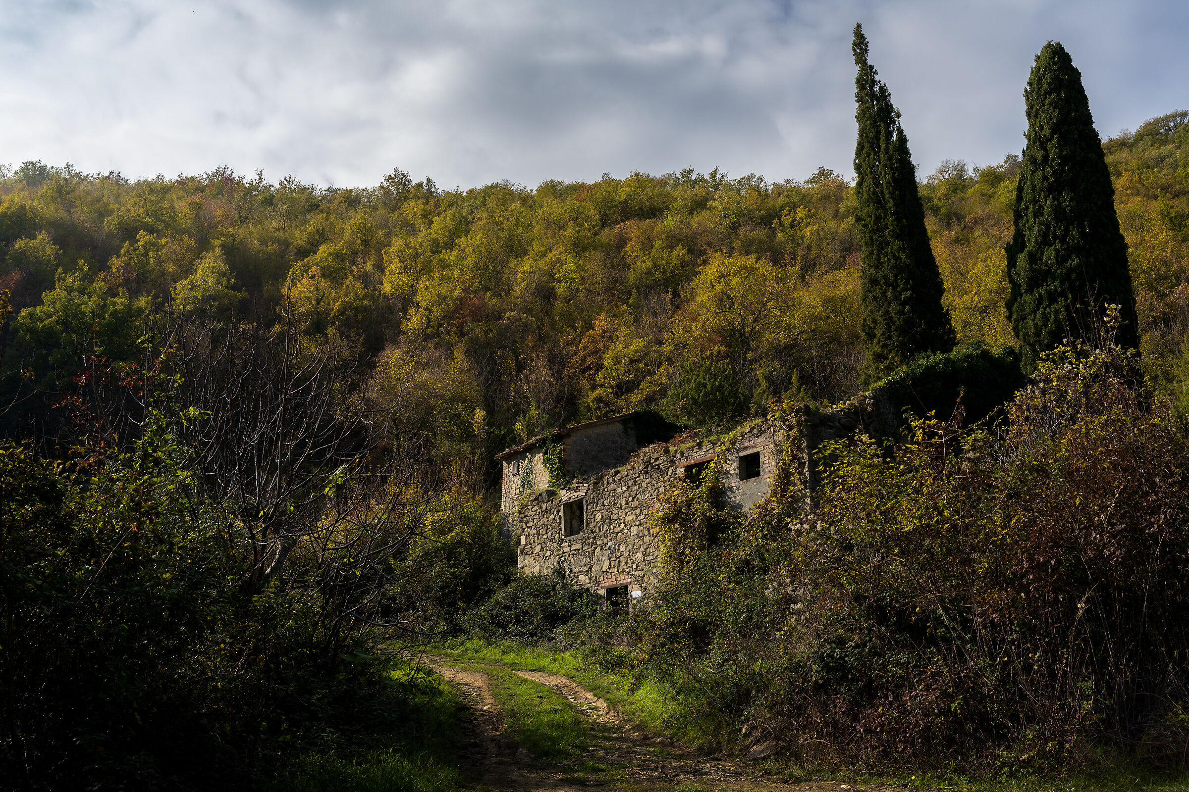 Untitled Photo