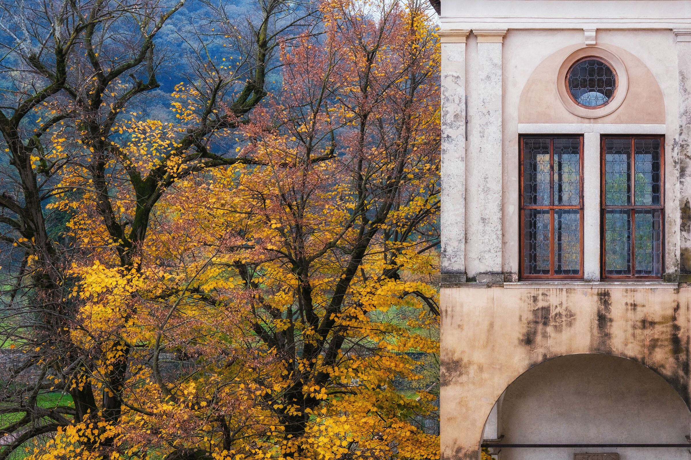 Nature and architecture