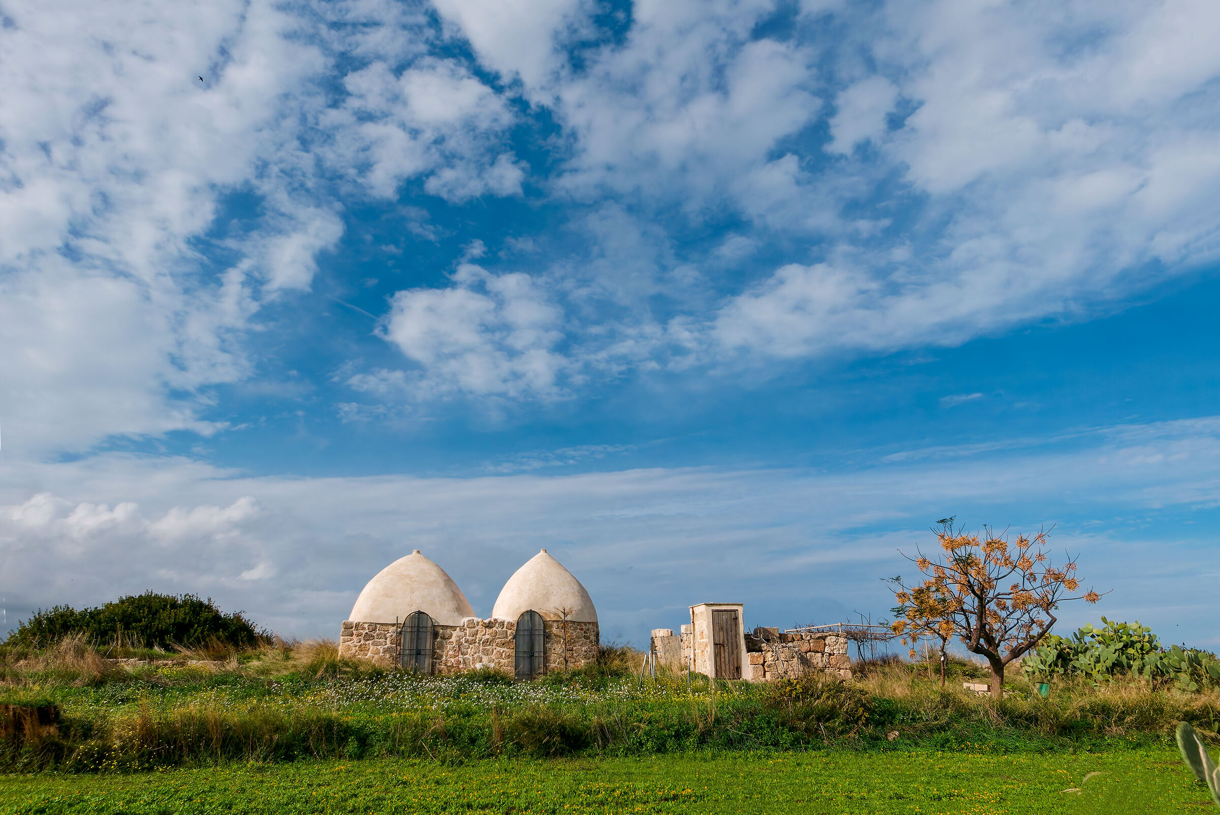 An autumn like this