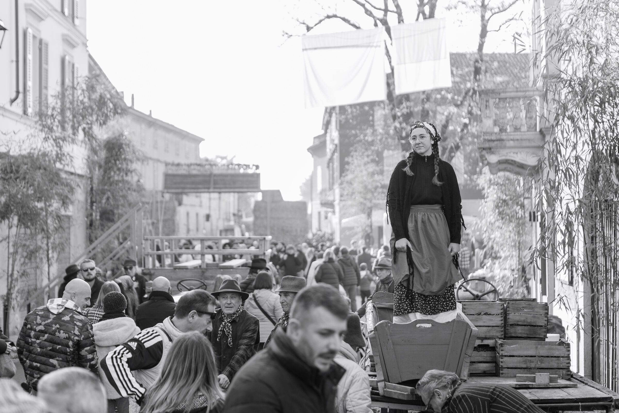 The crushing of the grapes