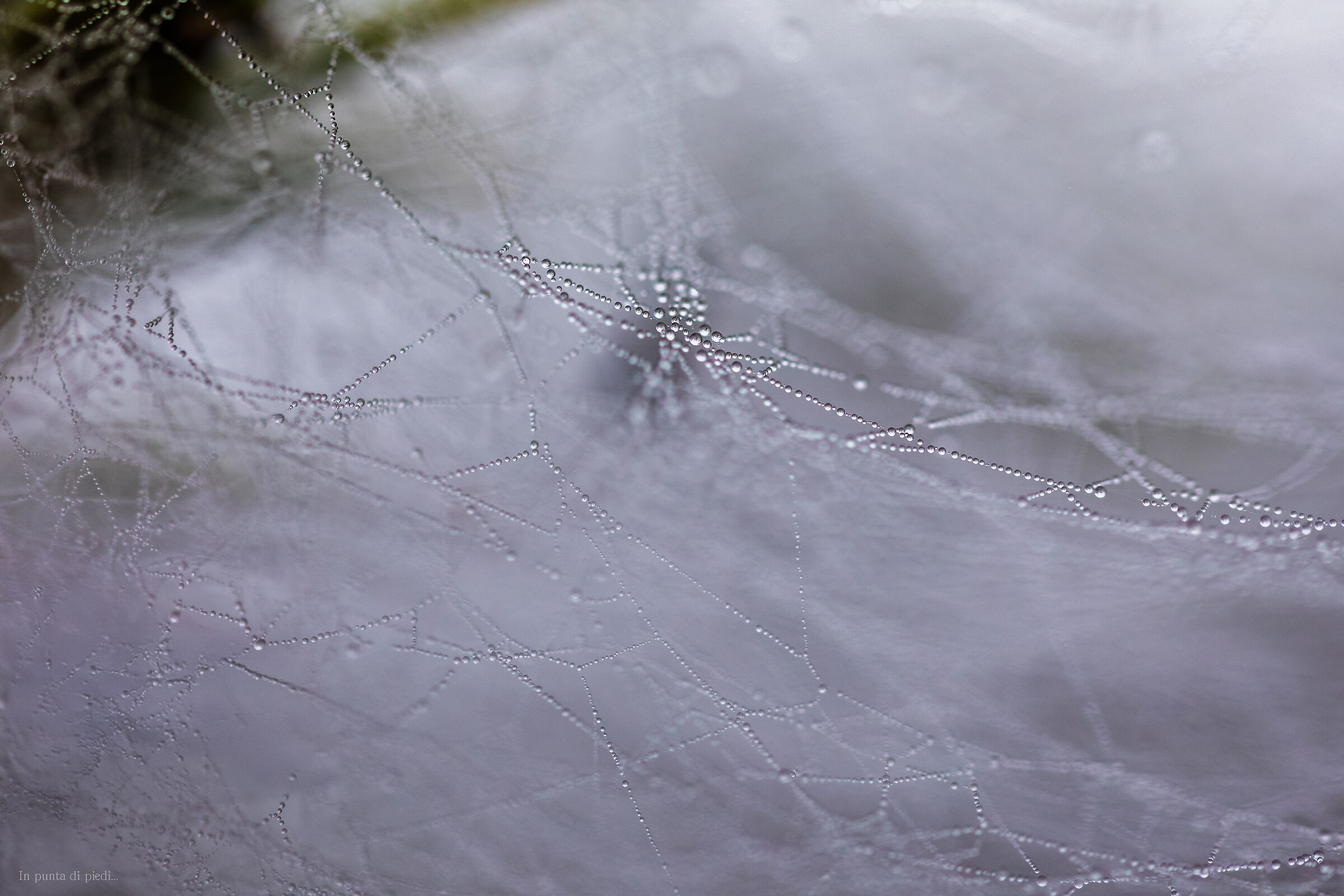 madre Natura si esibisce...