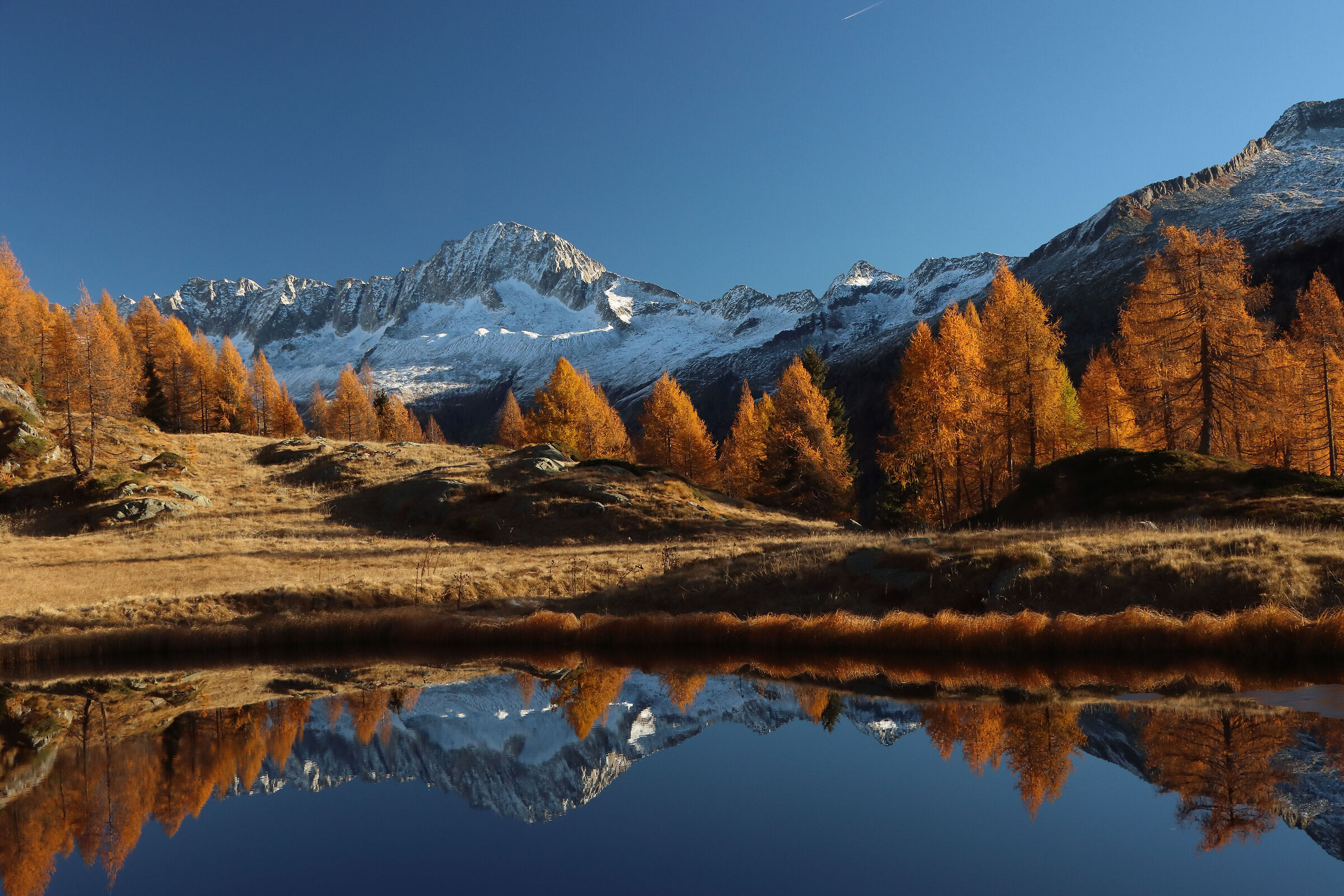 Caré High in the mirror