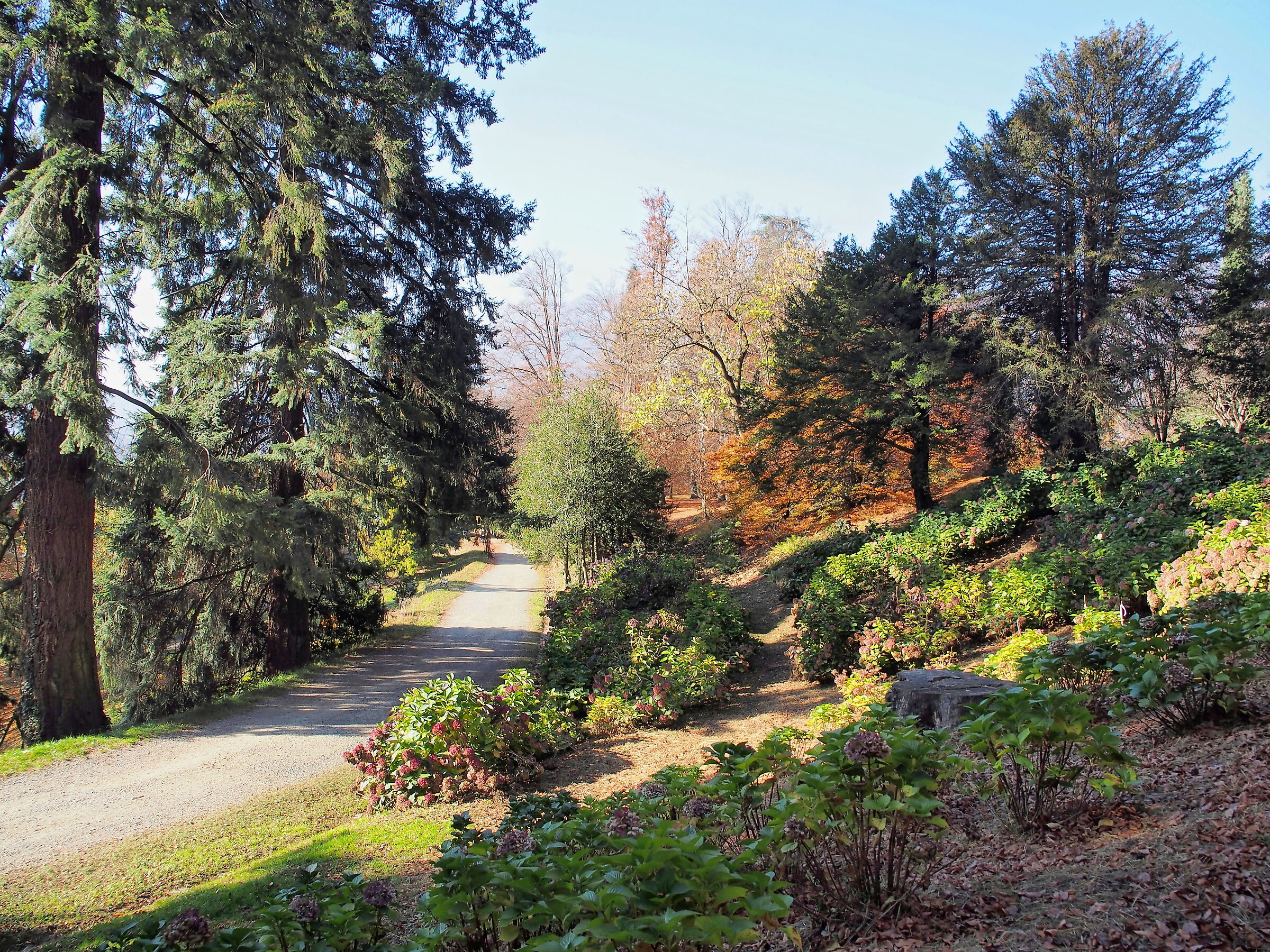 Autumn at Burcina