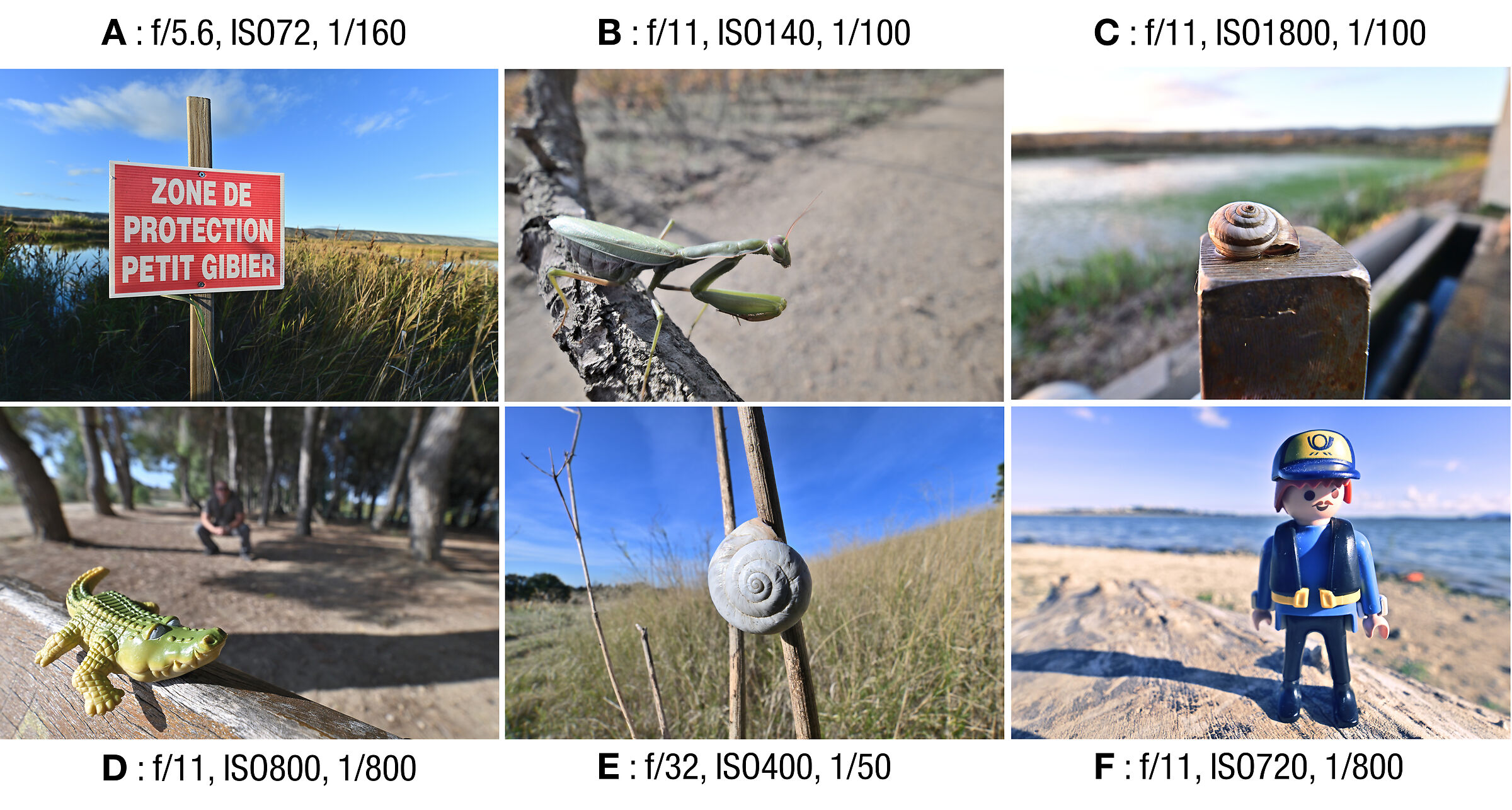 Laowa FF 15mm f/4.5 Macro 1:2 reviews