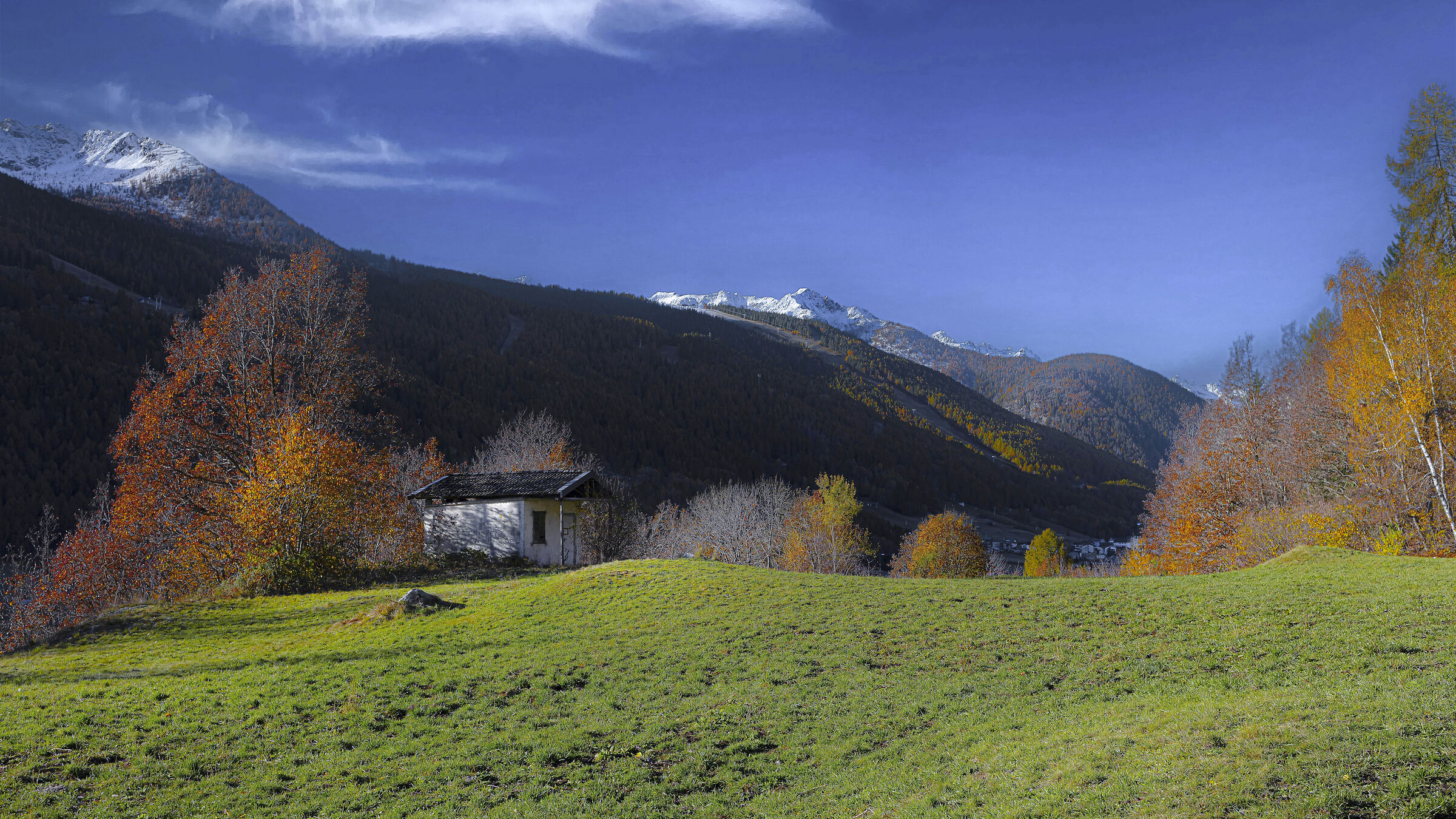 Pratoni sopra casa mia