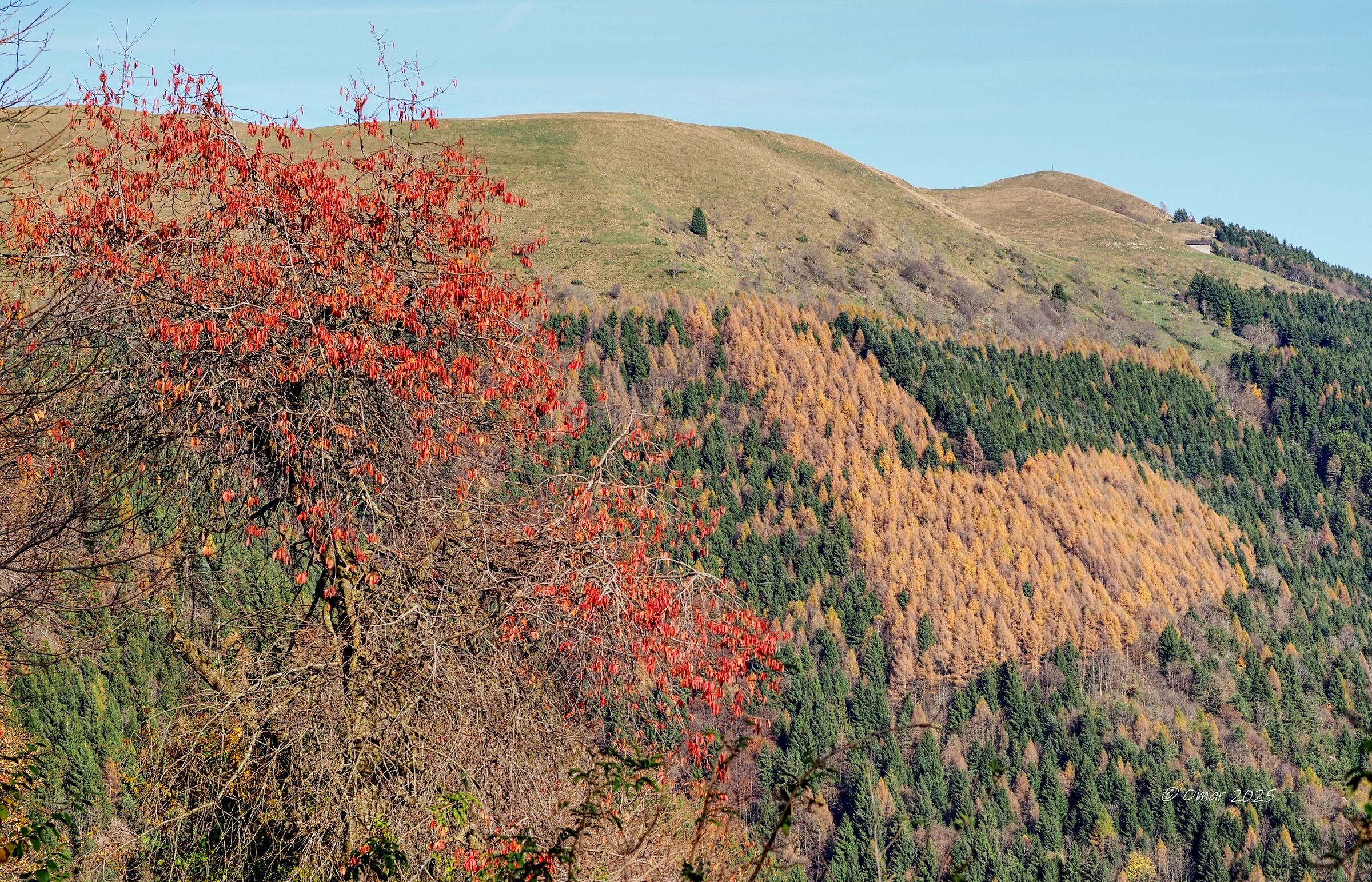 a heart... of colors