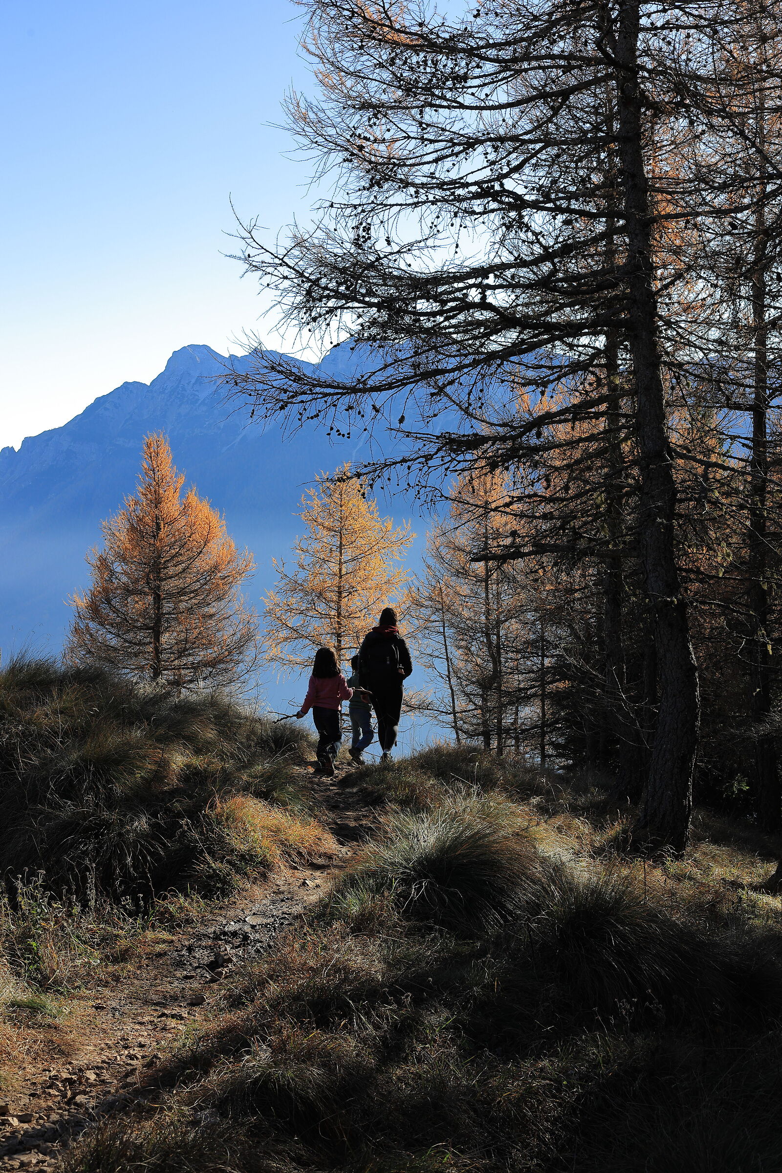 The aunt in the mountains with her nephews