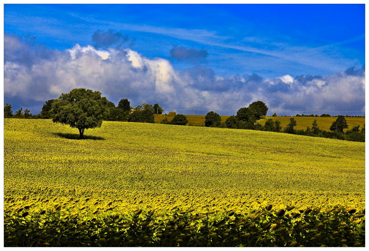 ... dalle parti di Orvieto