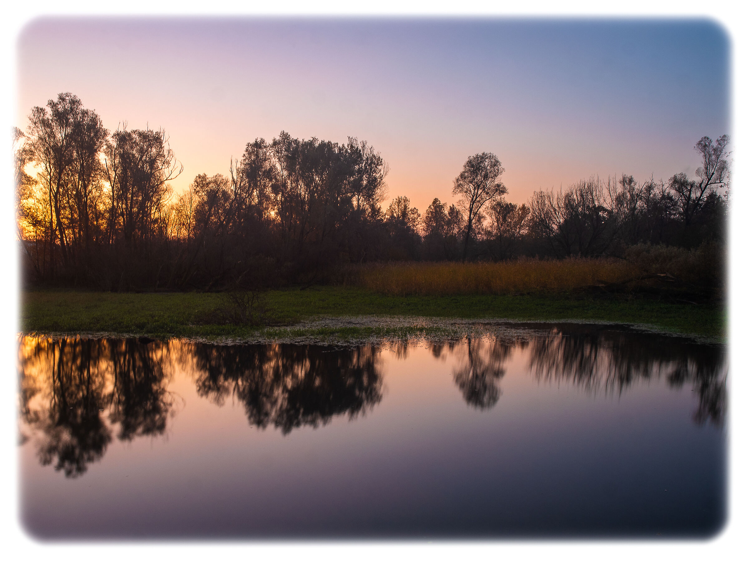 Tutti i colori di quella sera