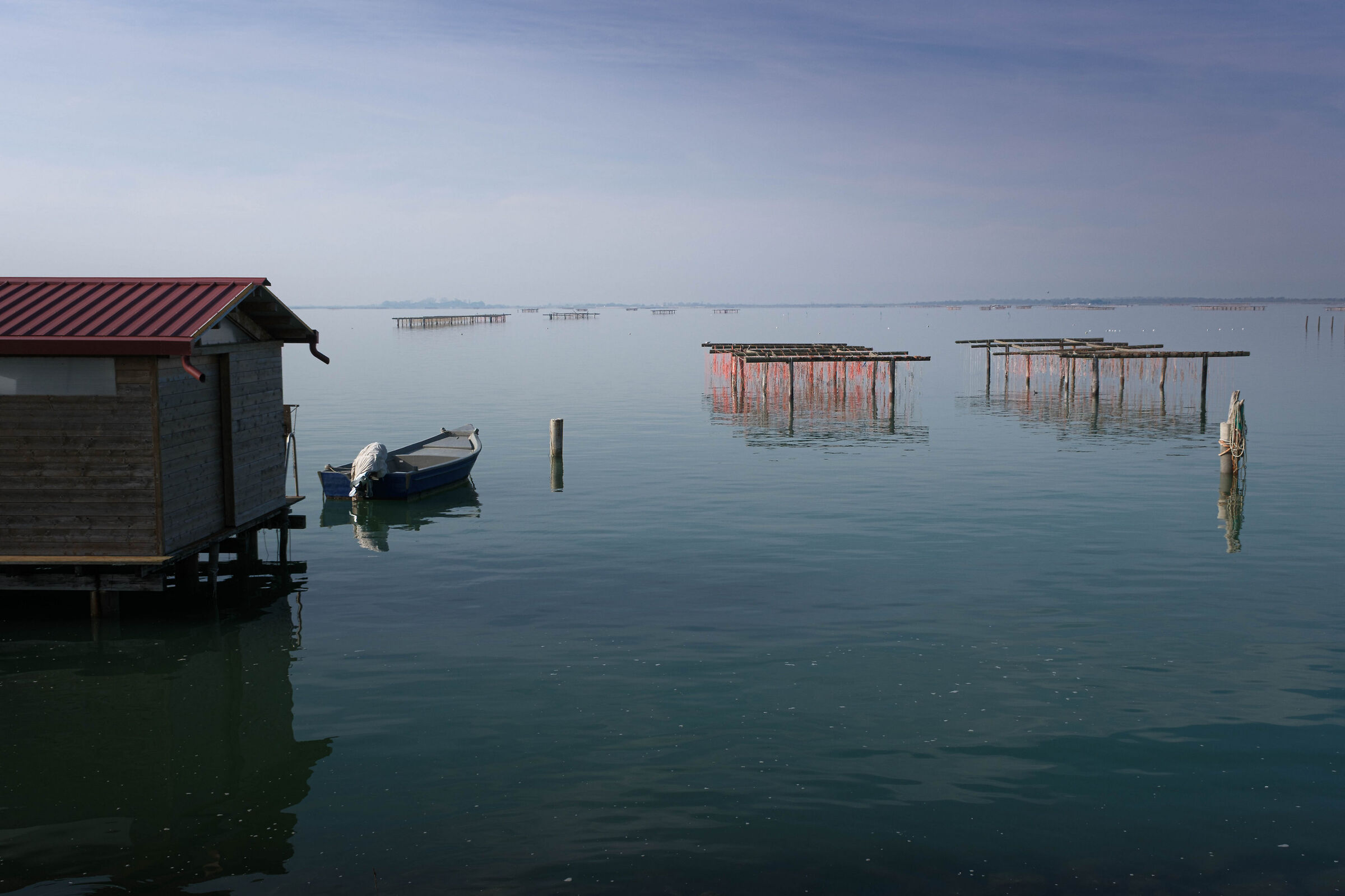Il lavoro nella sacca di Scardovari