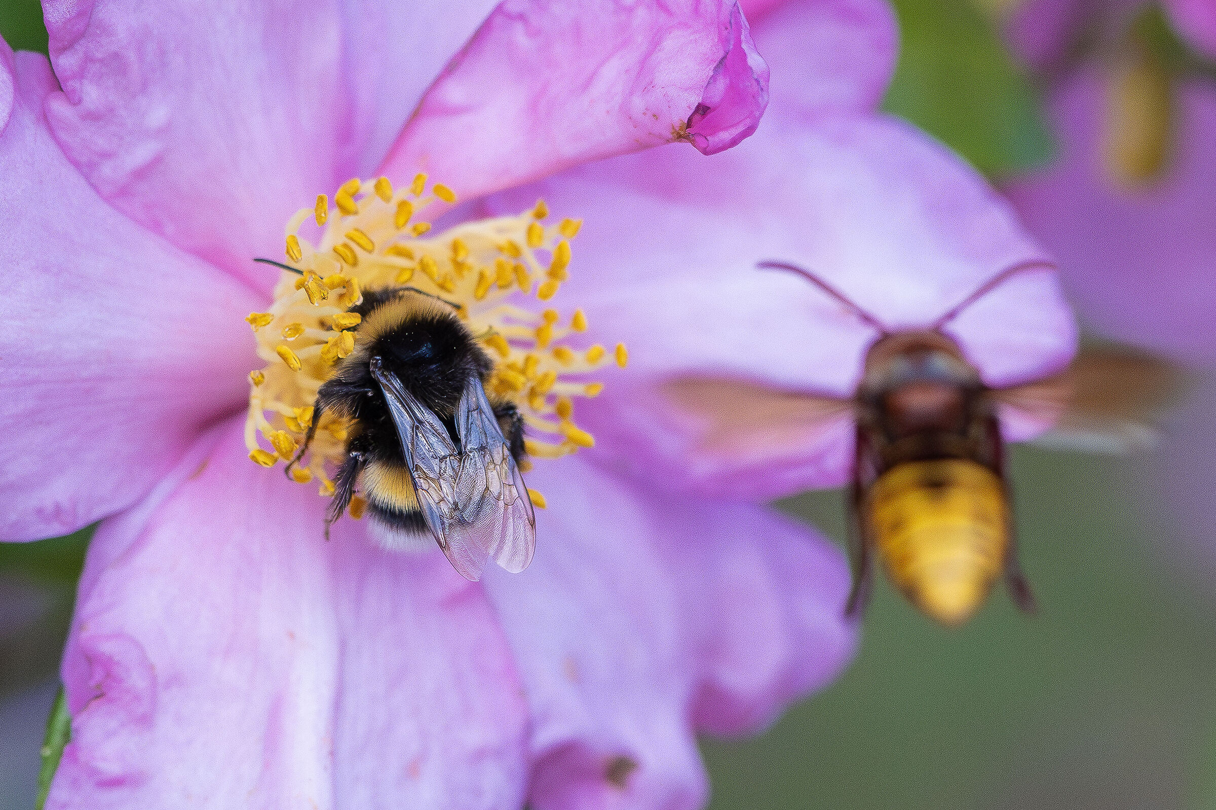 Come on, don't take it personally... It could have happened ...