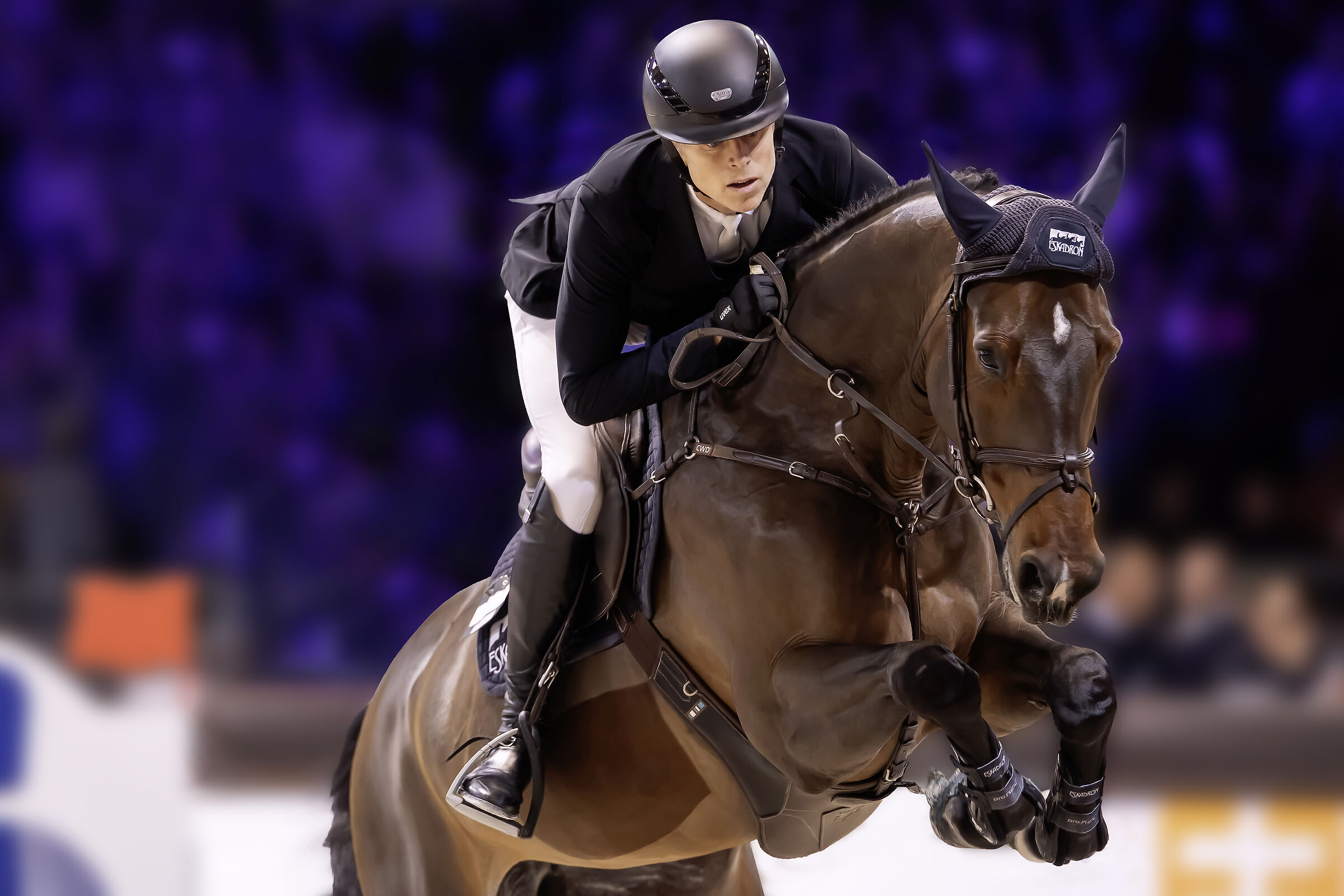 Horse Fair - Jumping