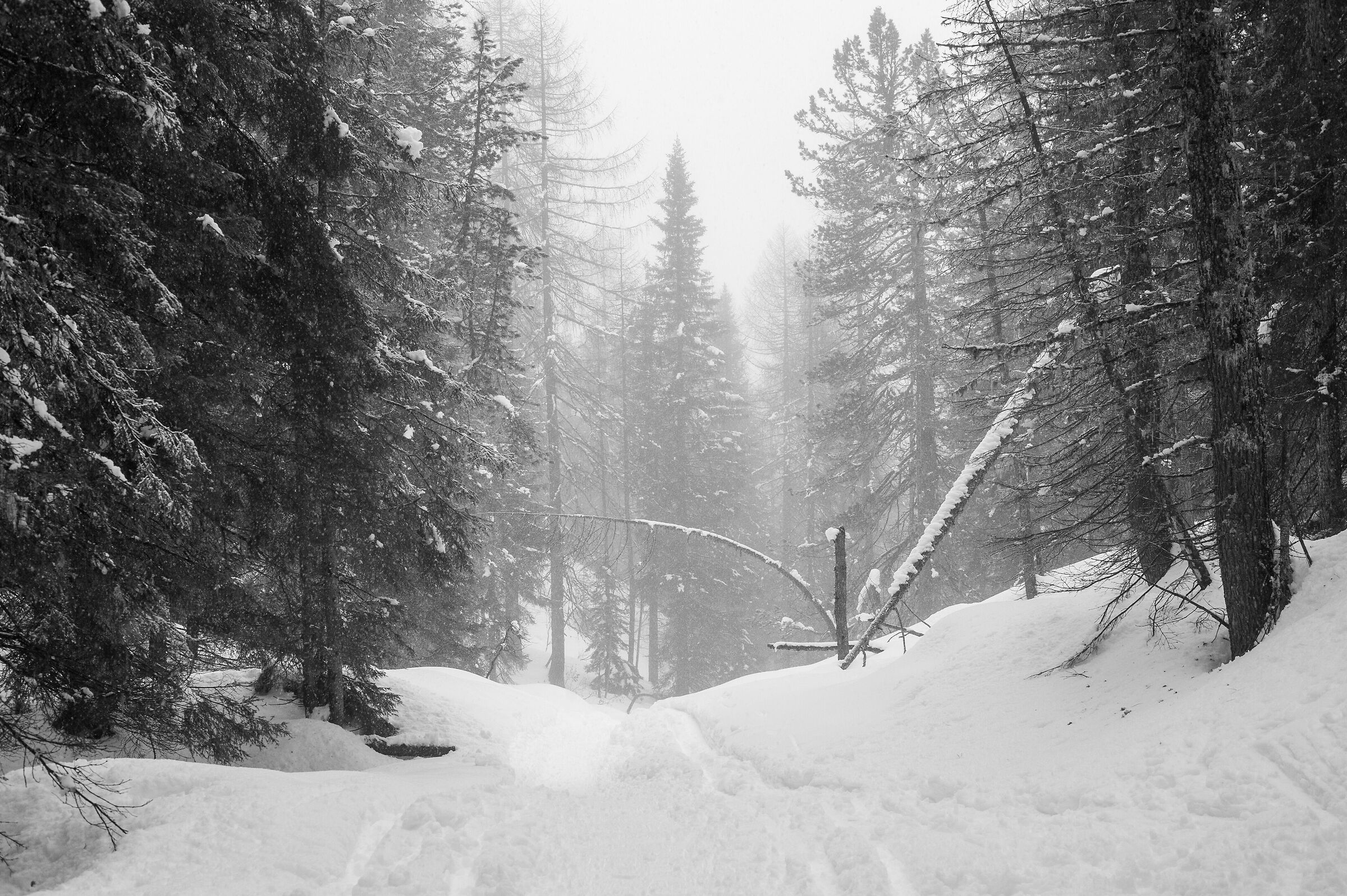 Verso le Cinque Torri