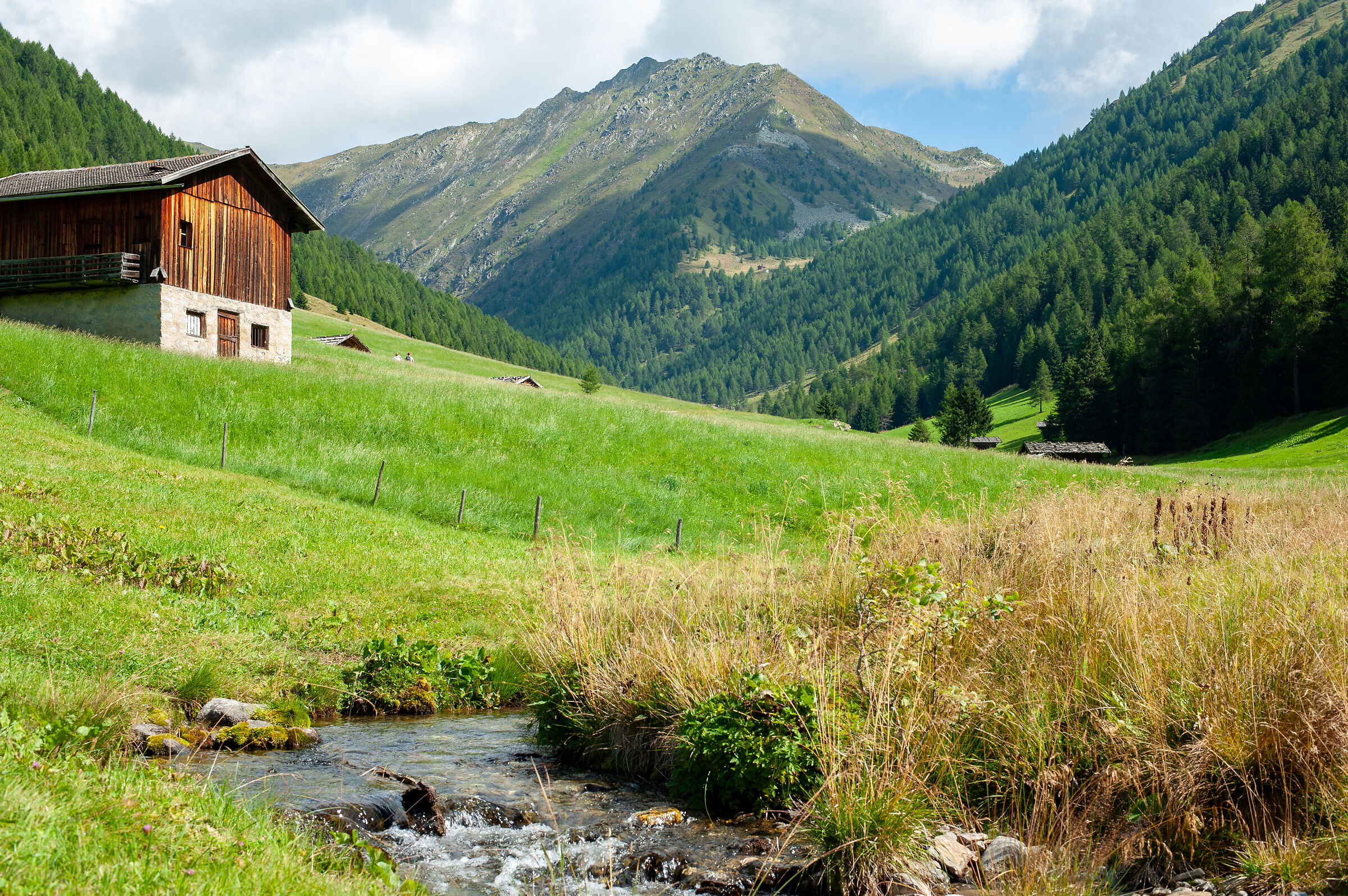 Valle di Altafossa (BZ)