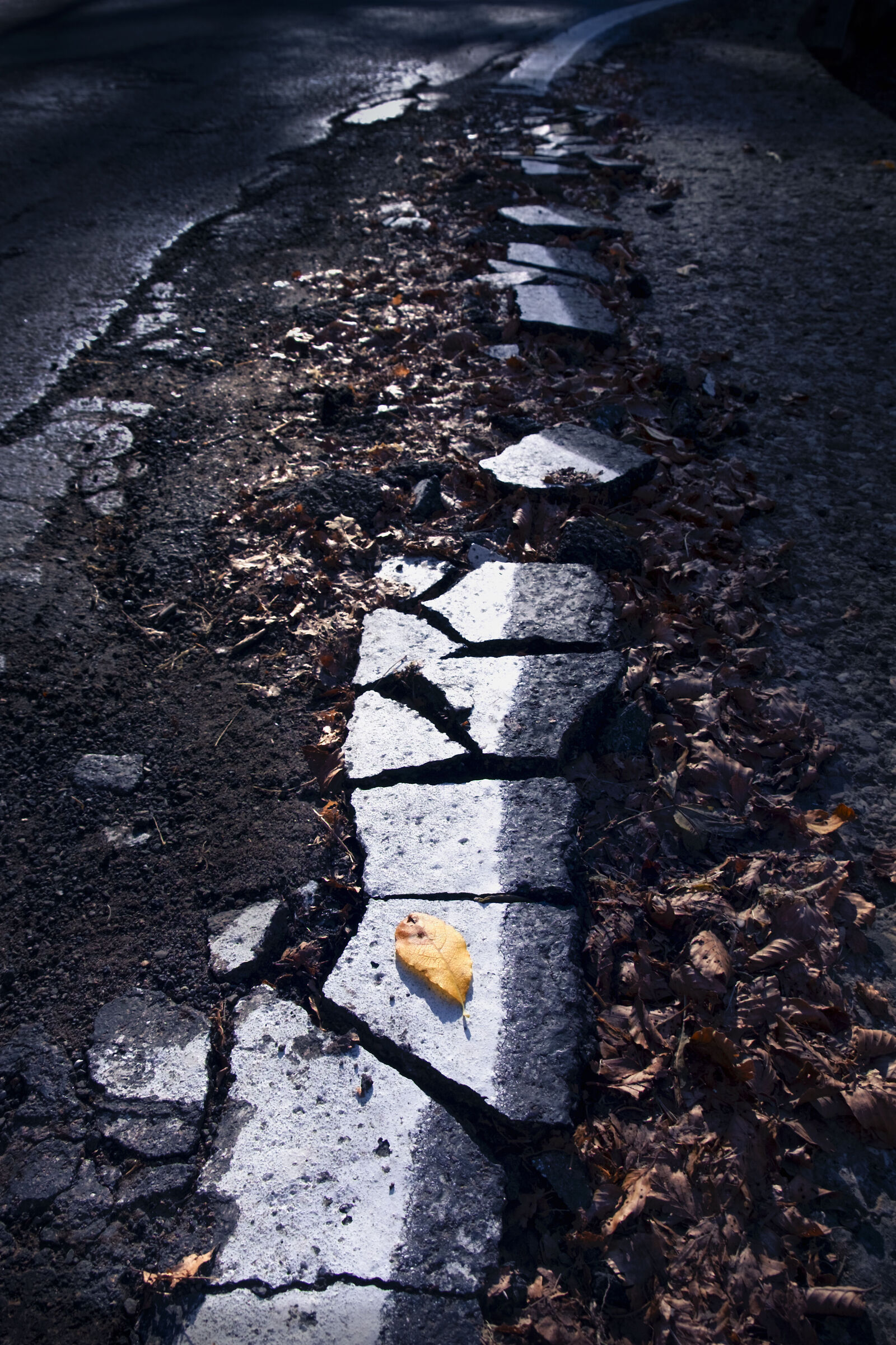 Untitled Photo