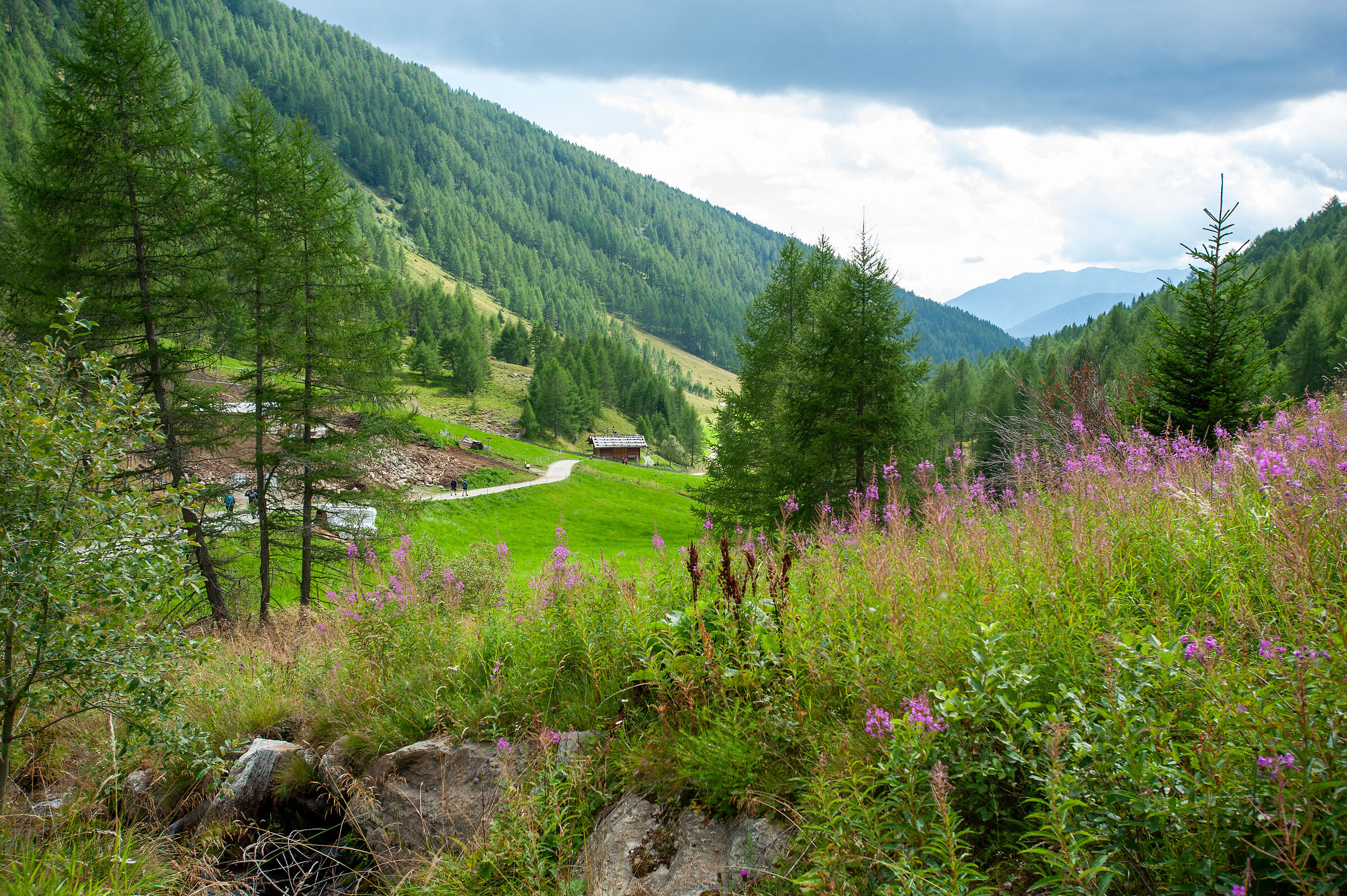 Valle di Altafossa (BZ)