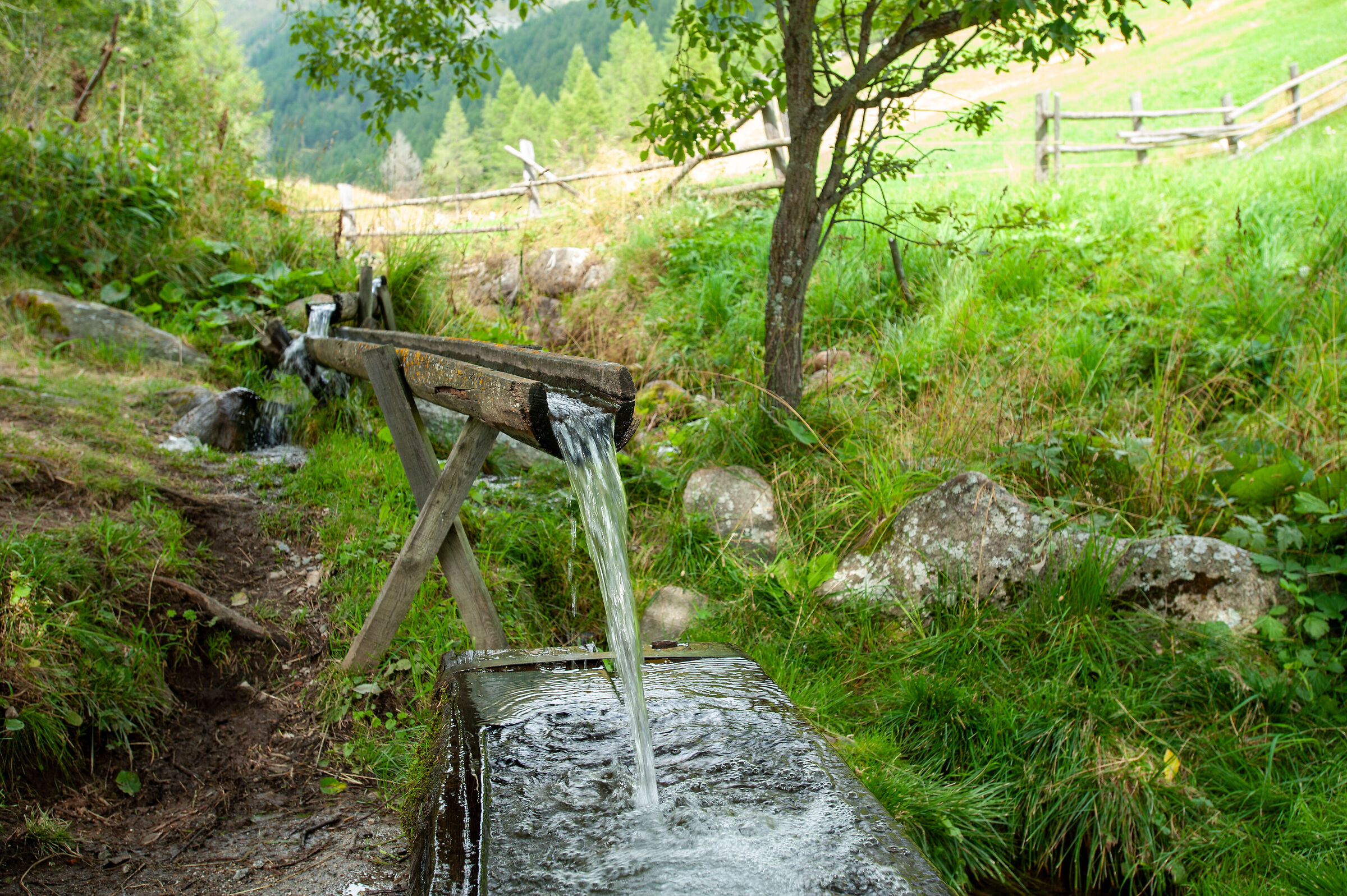 Valle di Altafossa (BZ)