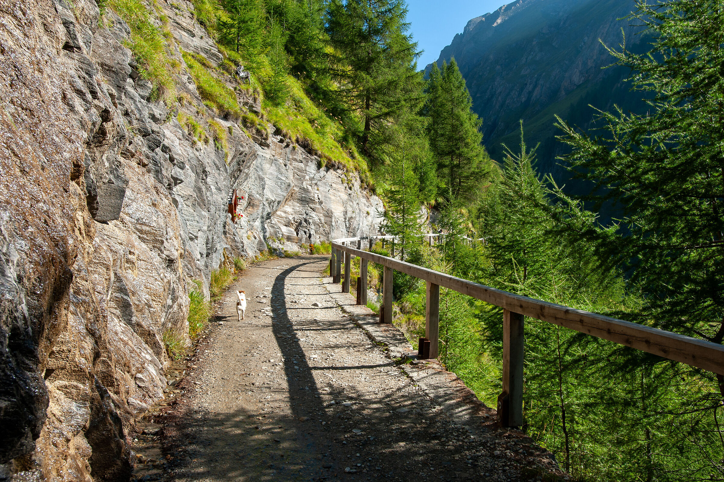 Verso Malga Labeseben (bz)
