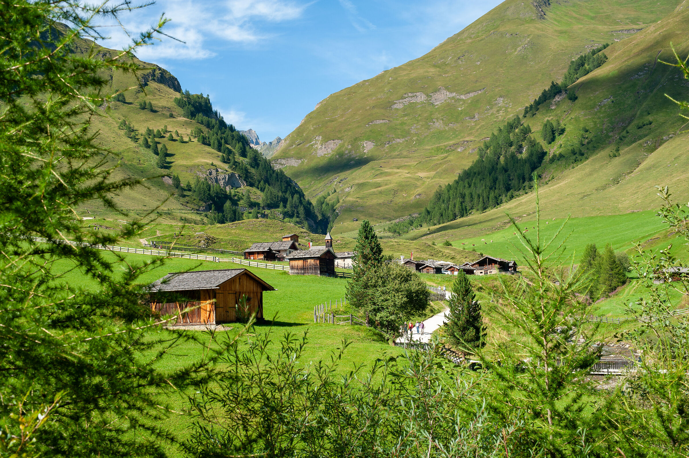 Villaggio Malga Fane (BZ)