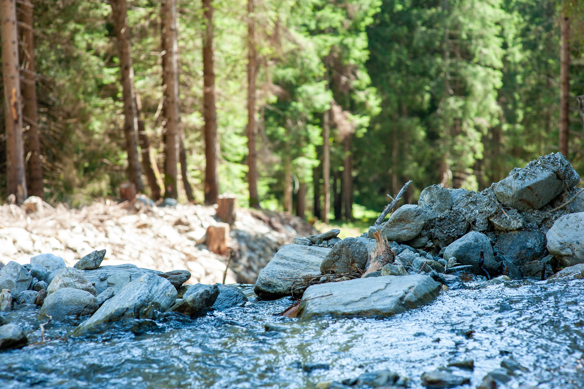 Trekking a Terento