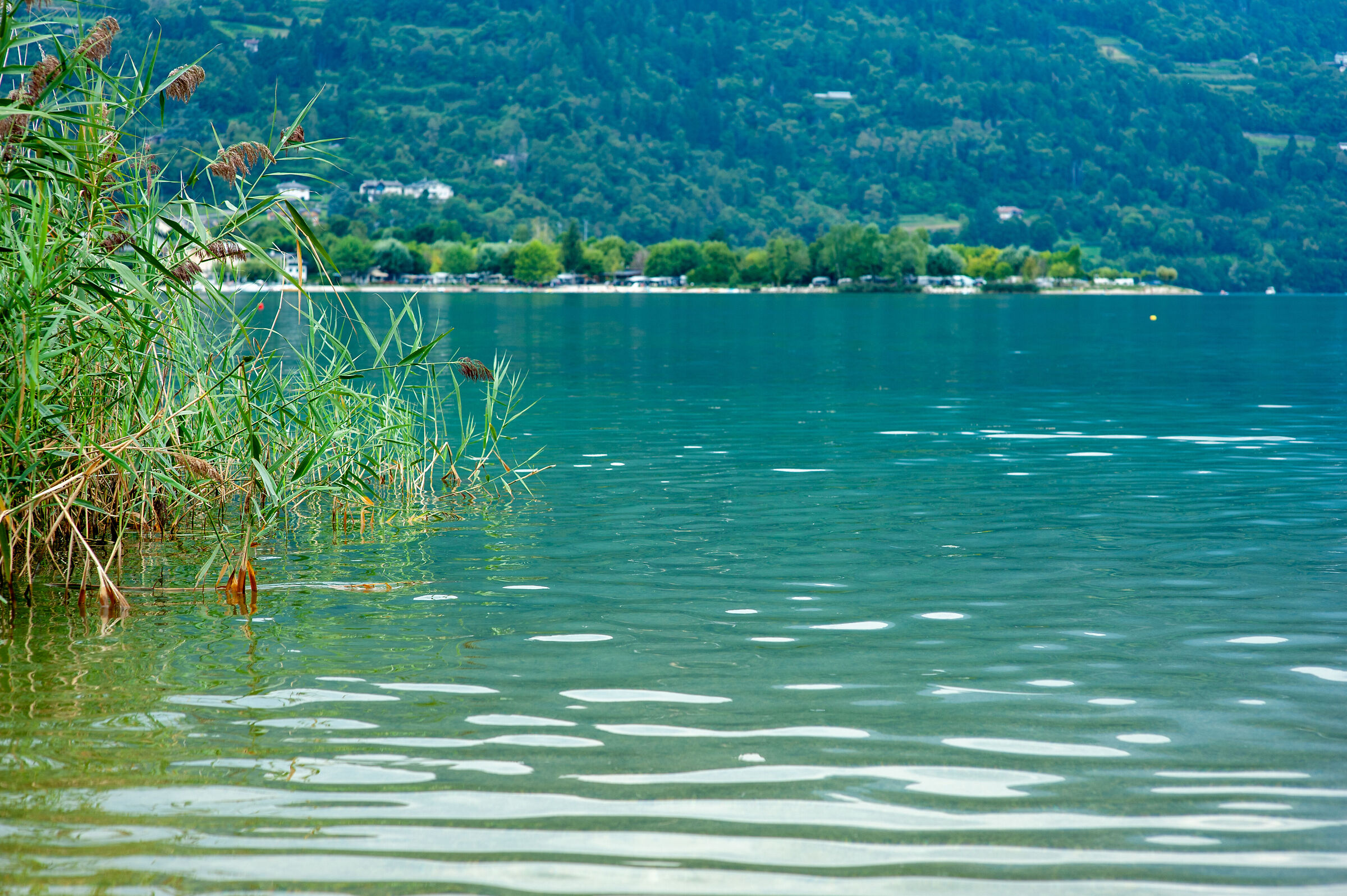 Lago di Caldonazzo (tn)