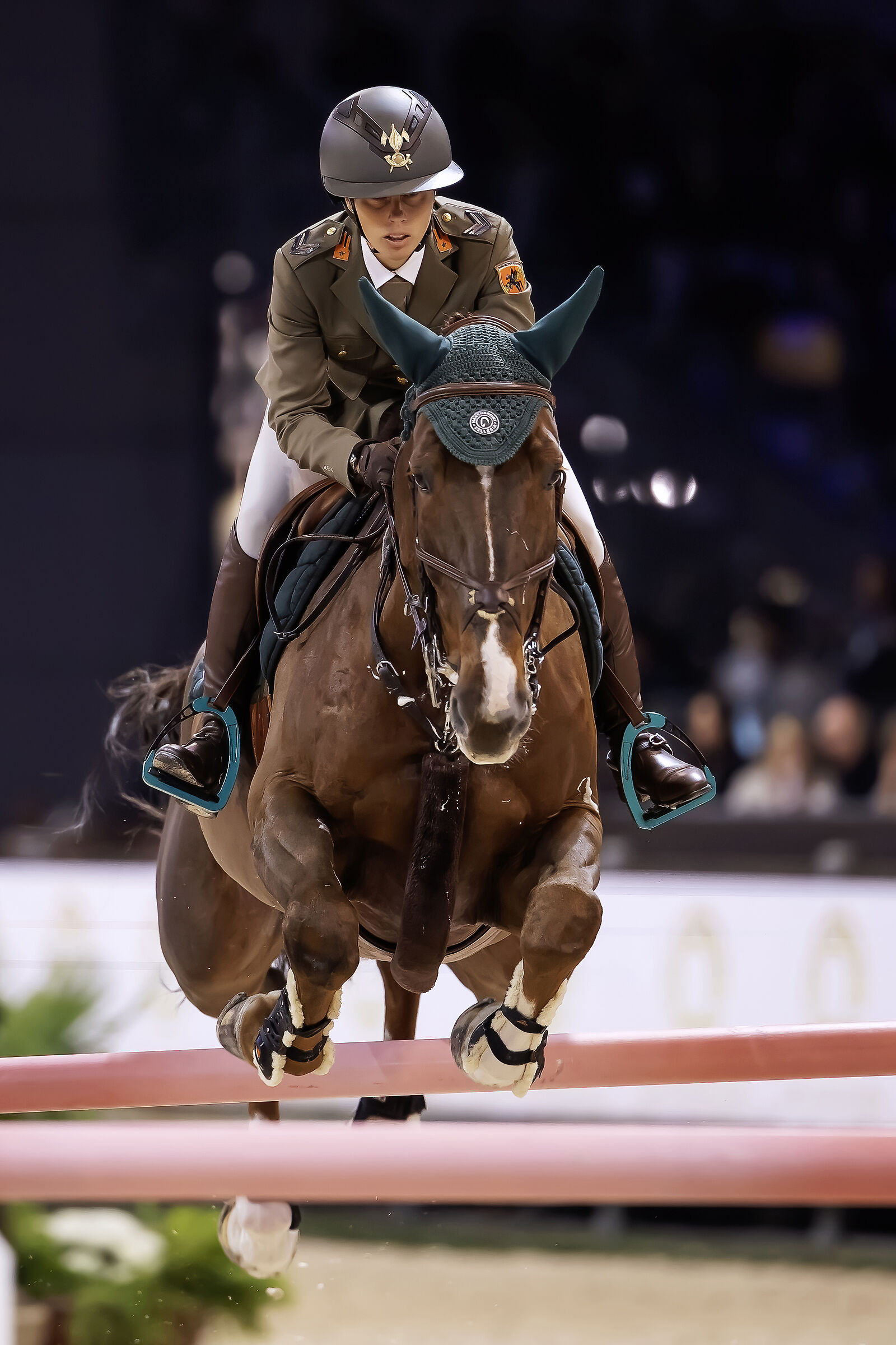 Horse Fair - Jumping