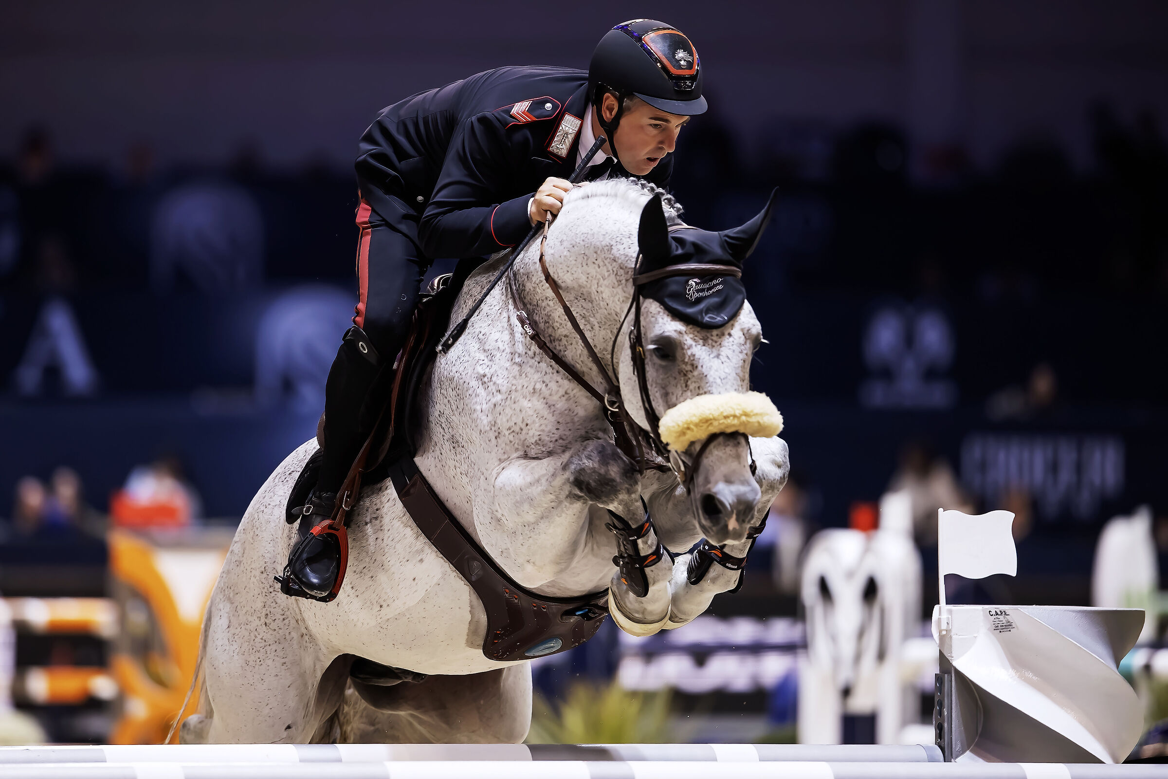 Horse Fair - Jumping