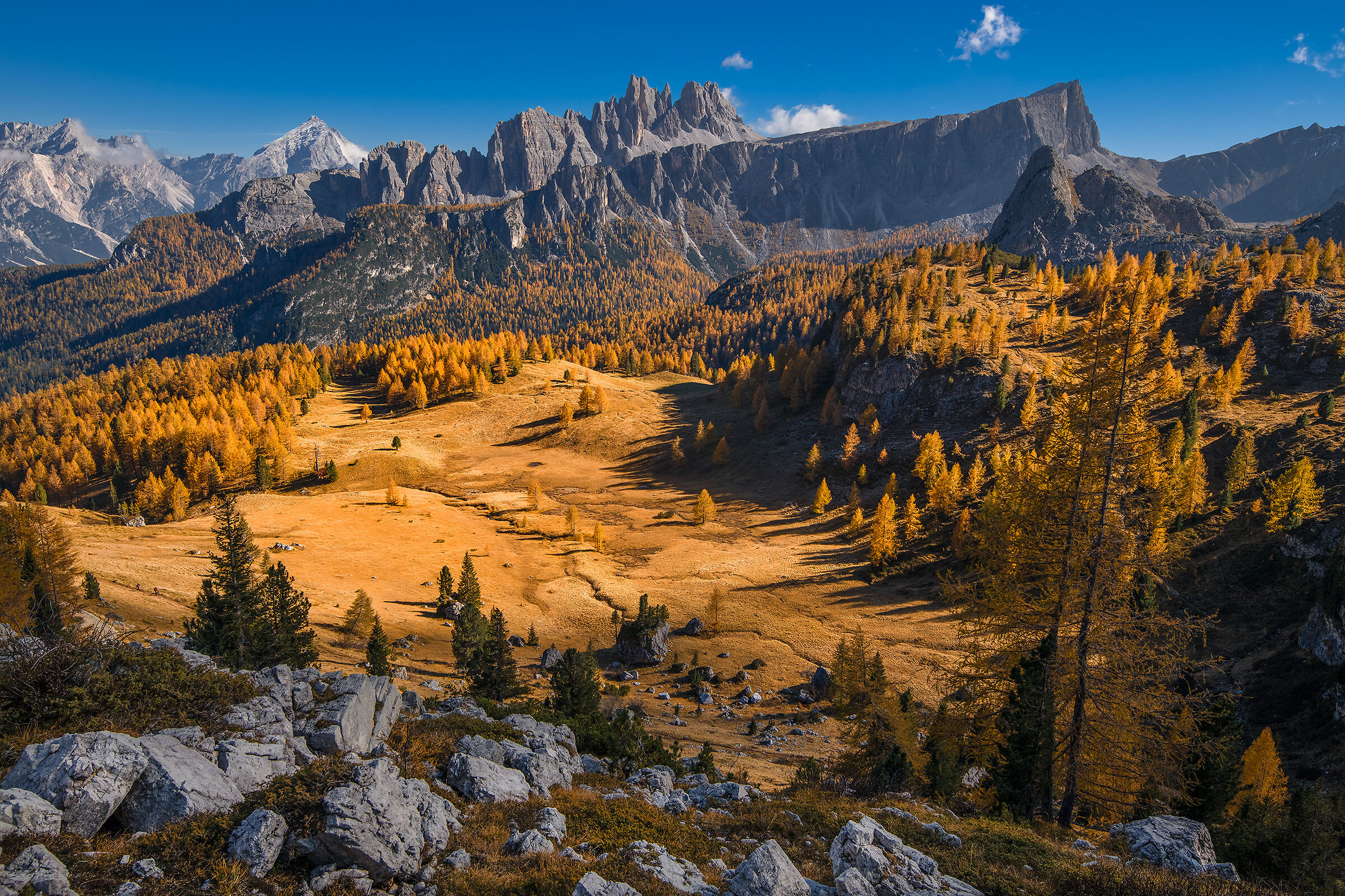 Golden Landscape