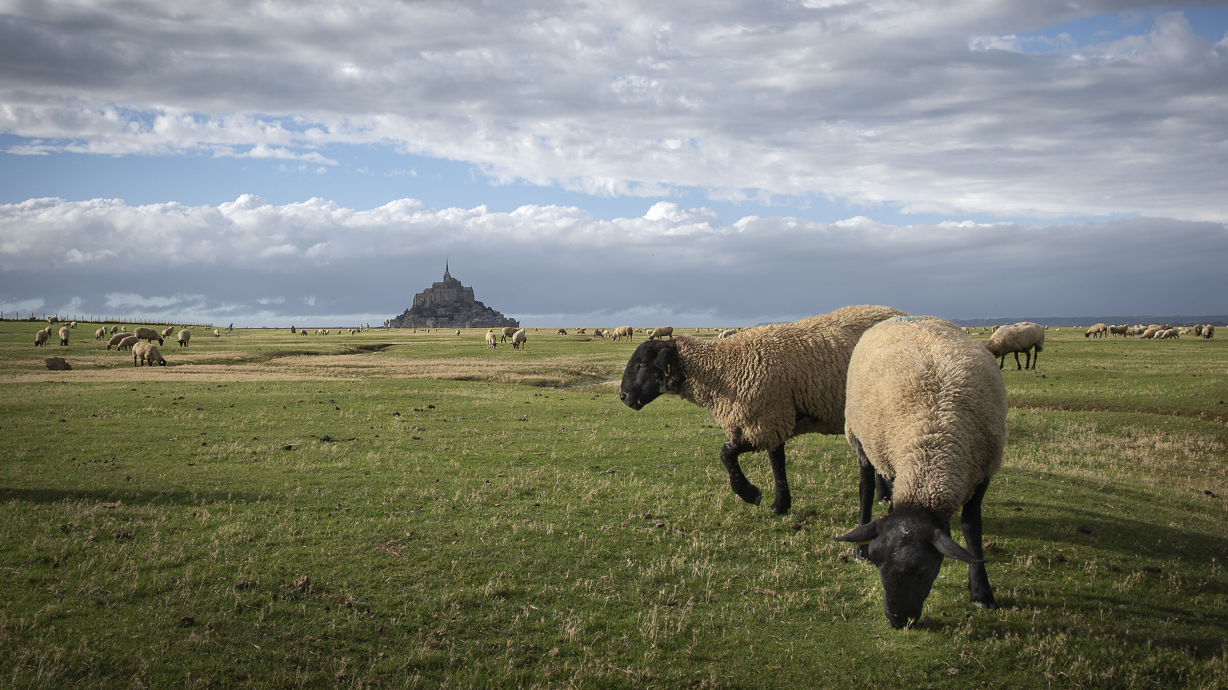 Le Mont-Saint-Michel
