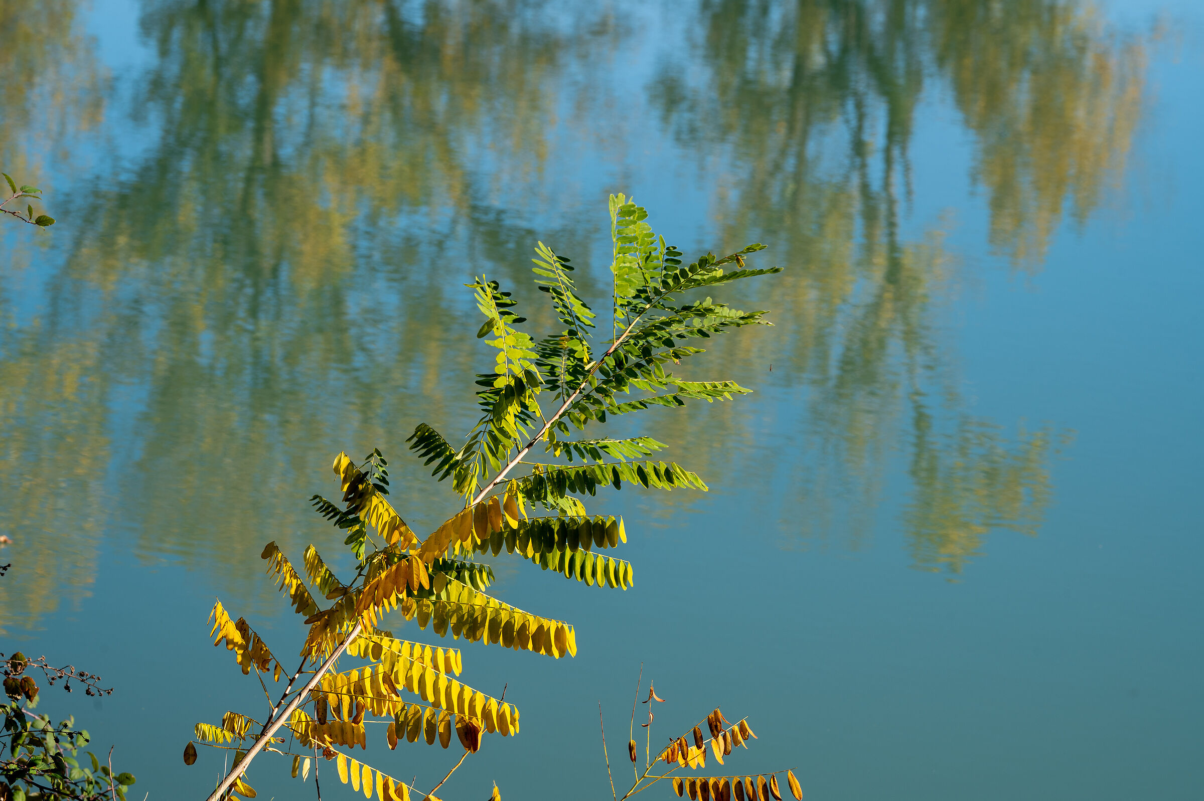 Autumn, for a change.
