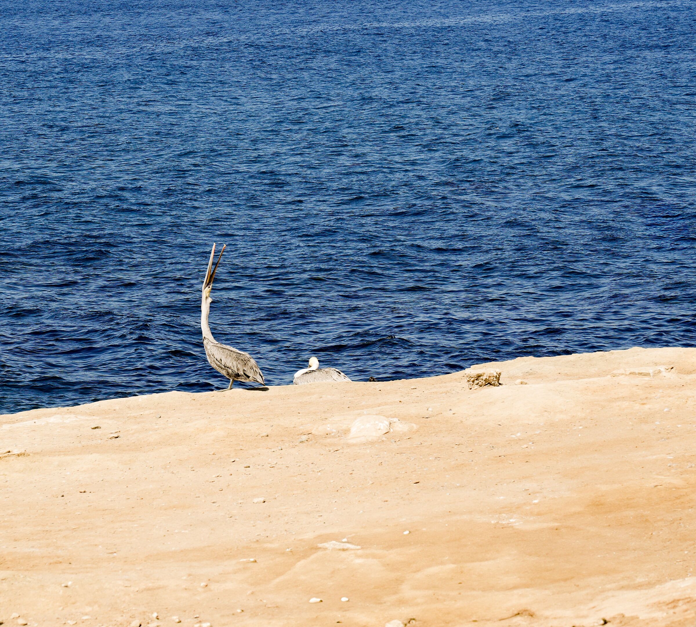 In alto lo sguardo!!!!!!!