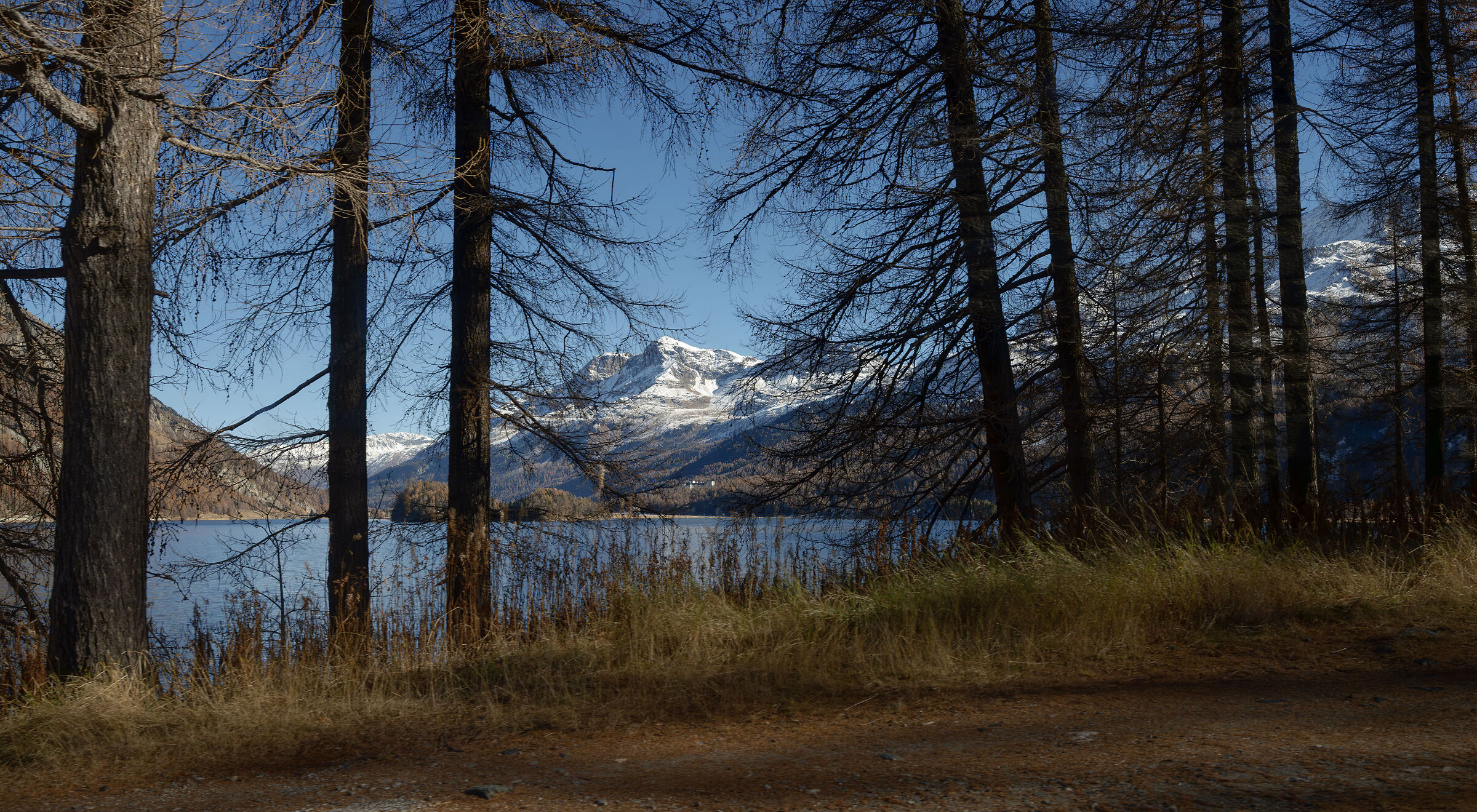 Piz Surlej and Lake Sils by PostBus CH