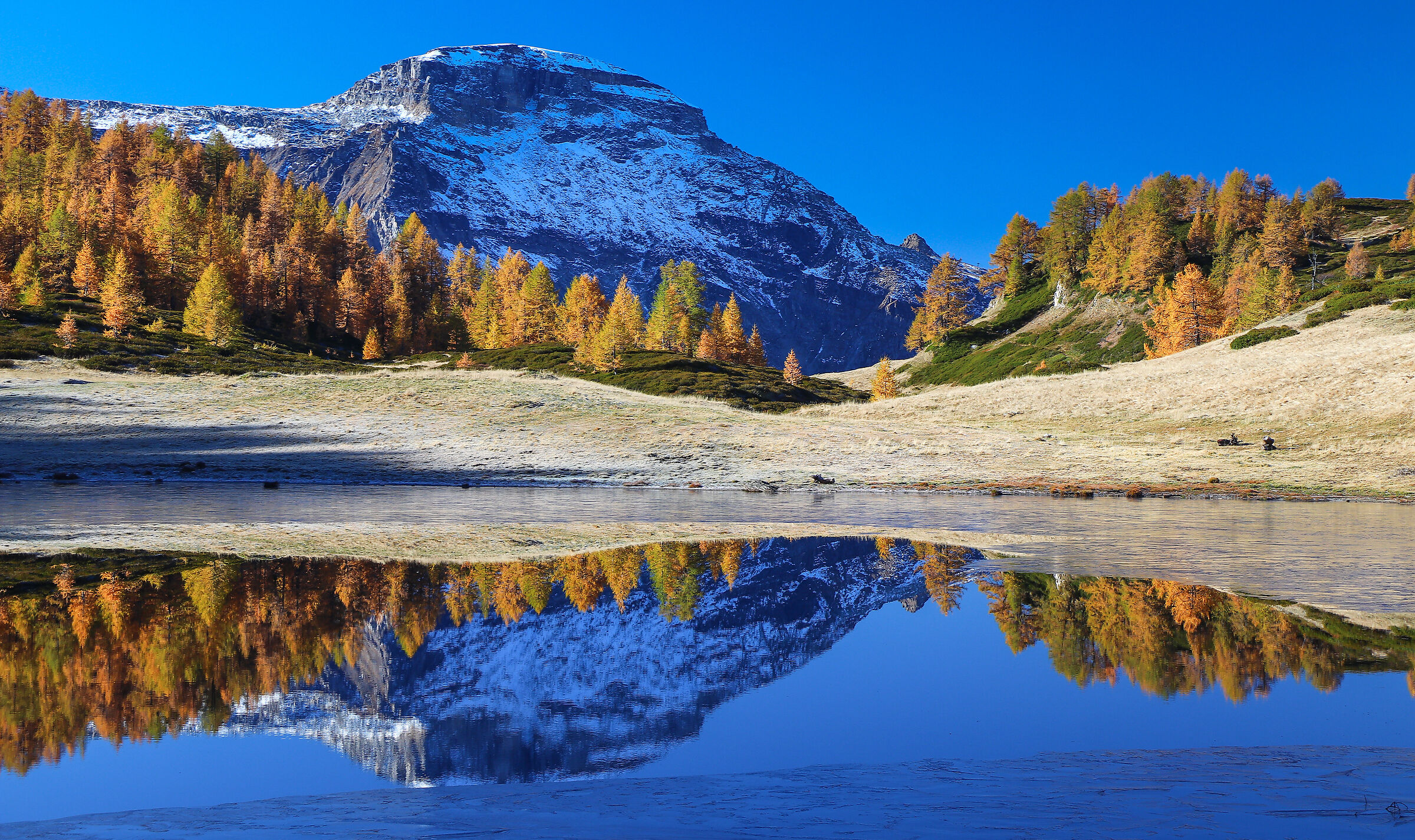 un classico autunnale...