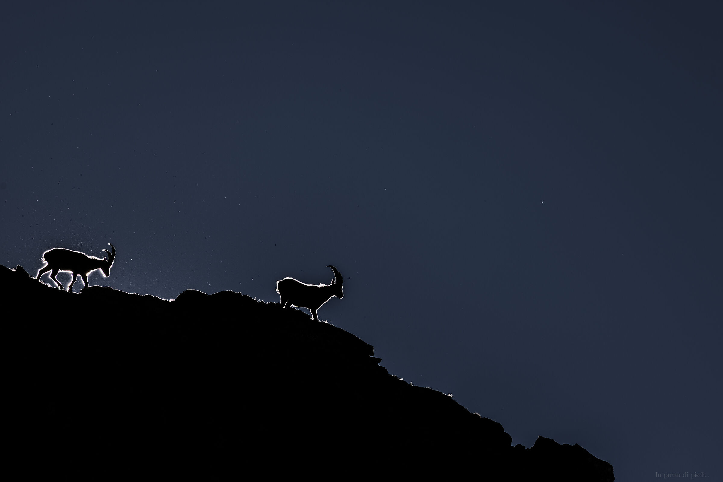 the guardians of the morning - i guardiani del mattino