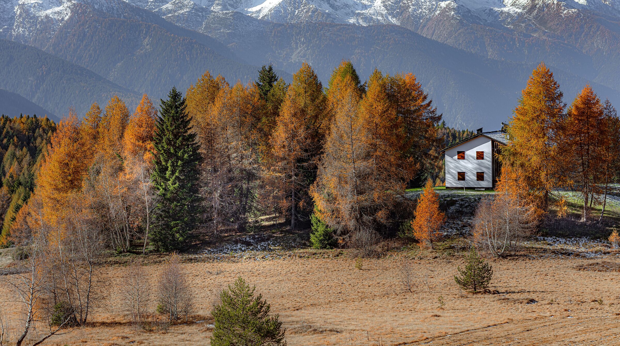 La casa oltre la radura