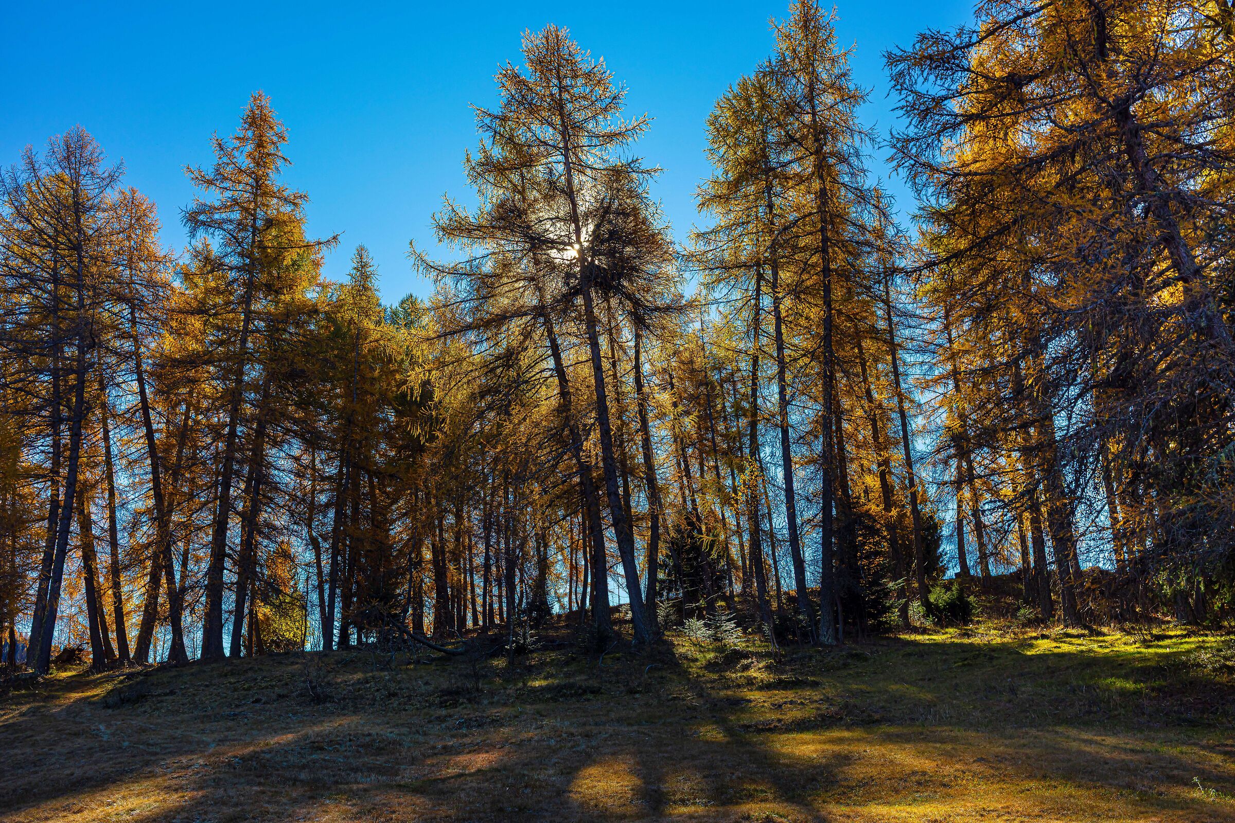Il sole oltre i Larici