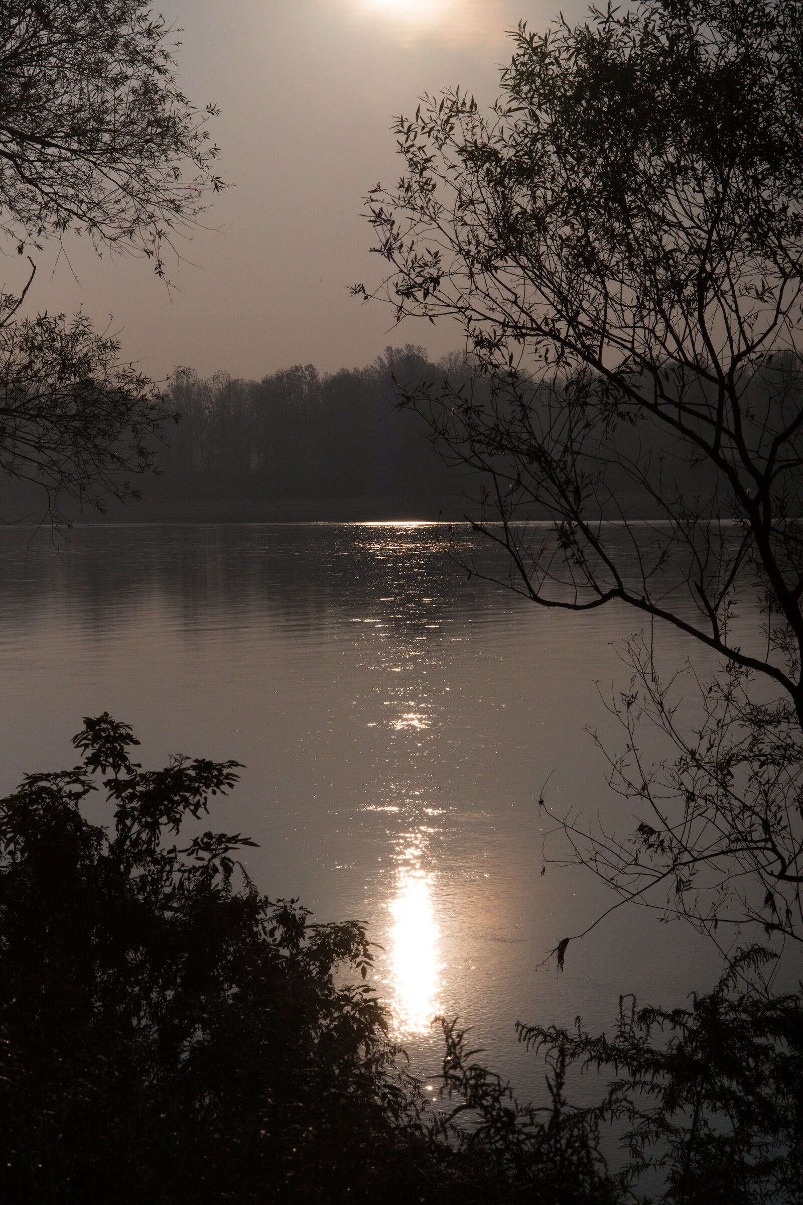 Poco dopo l'alba, lungo il Po