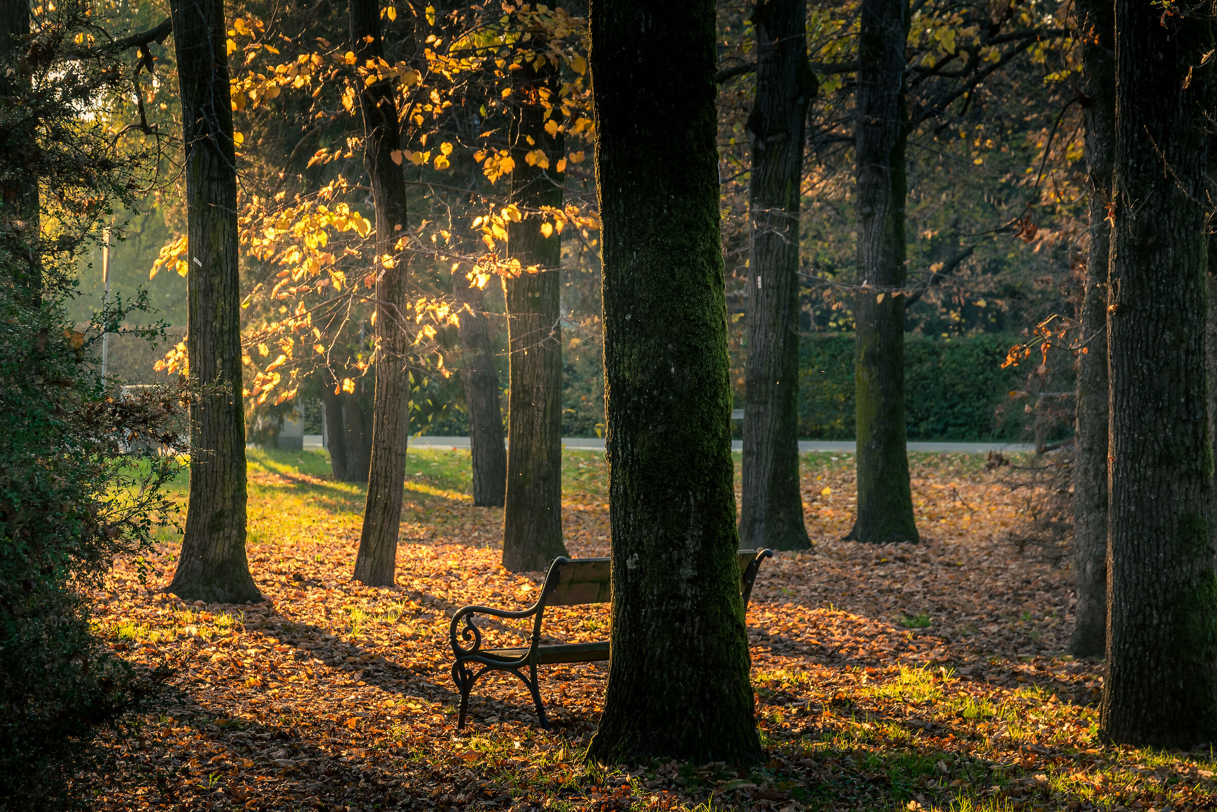 Aspettando il tramonto