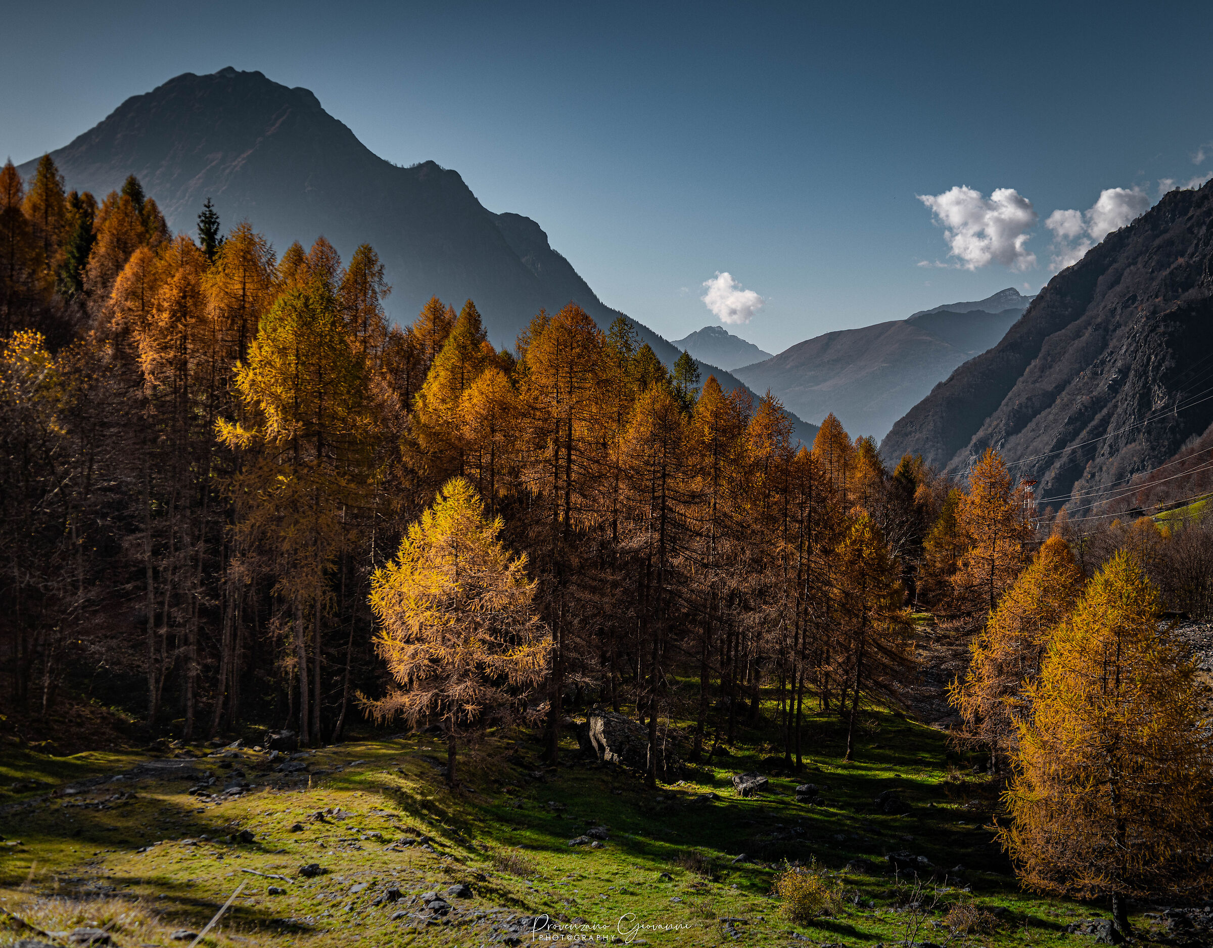 colori autunnali
