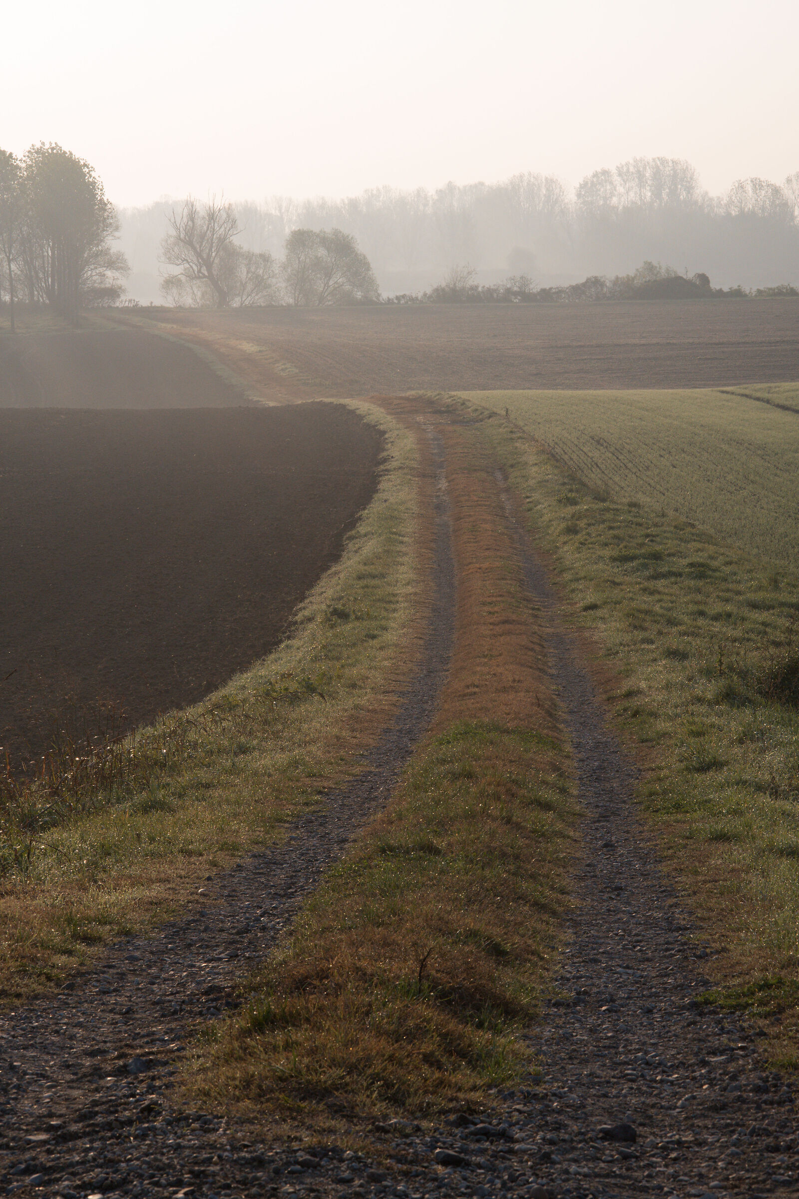 Colori di una mattina di novembre