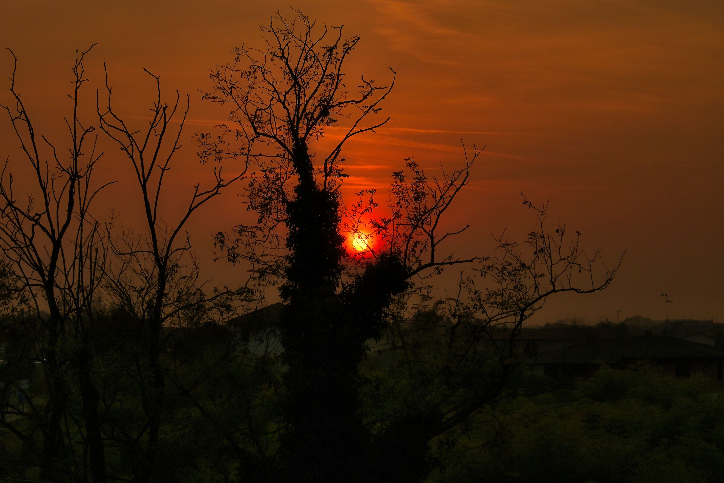 Untitled Photo