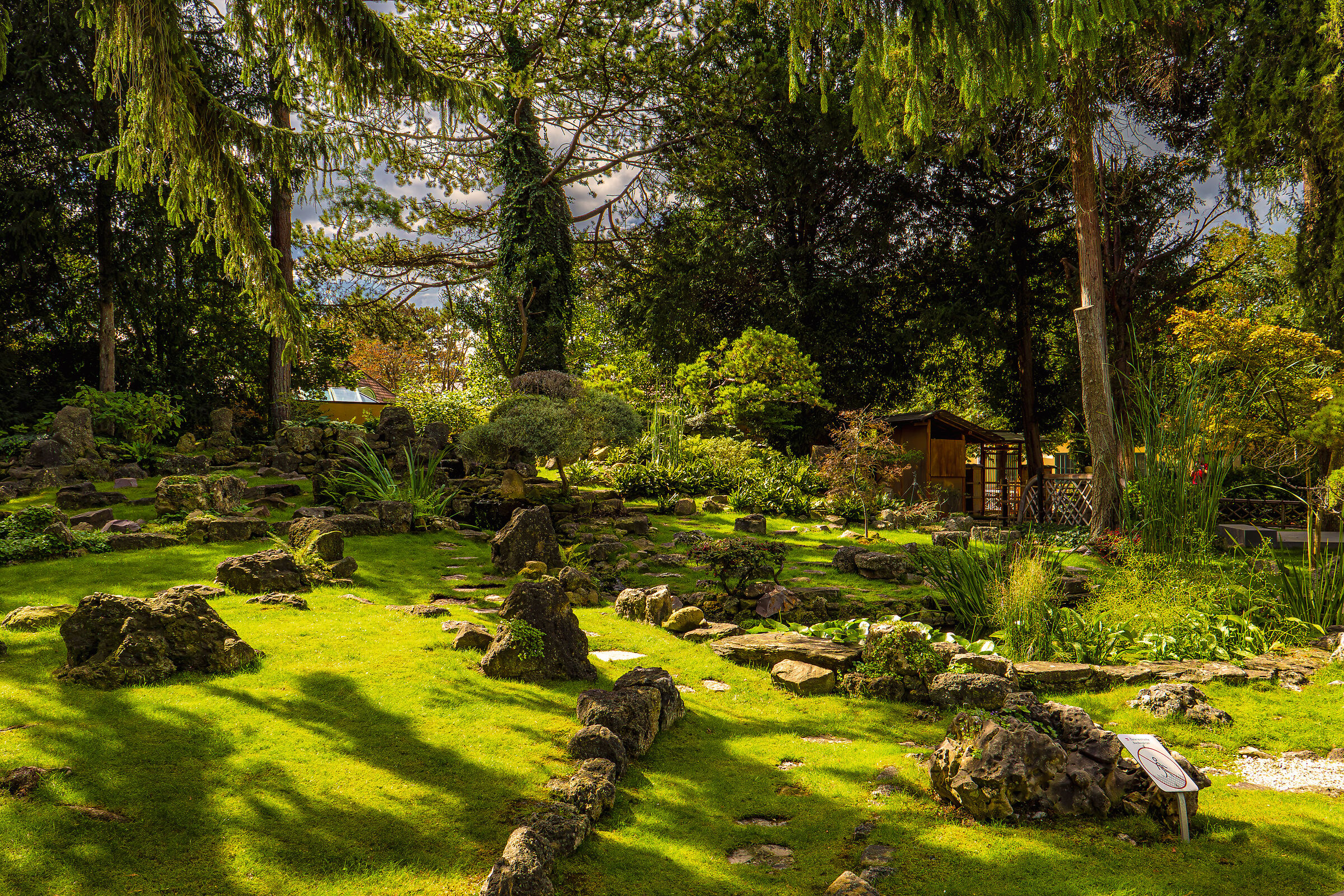 Japanese Garden