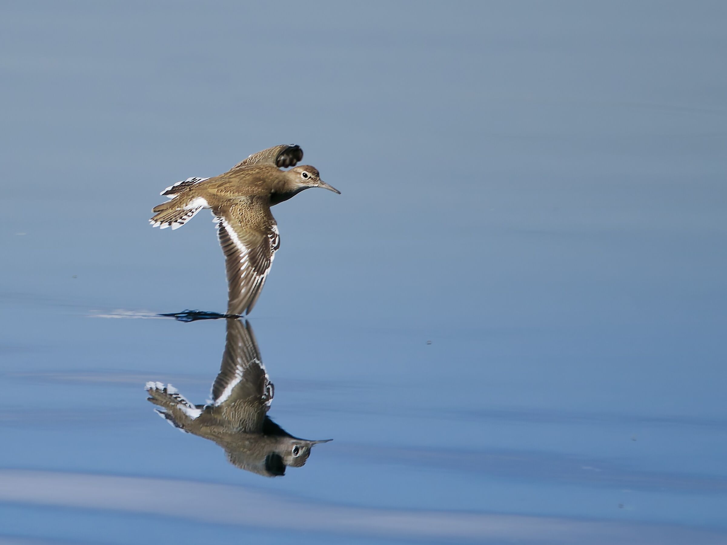 Pyro Piro caresses the water of the lagina