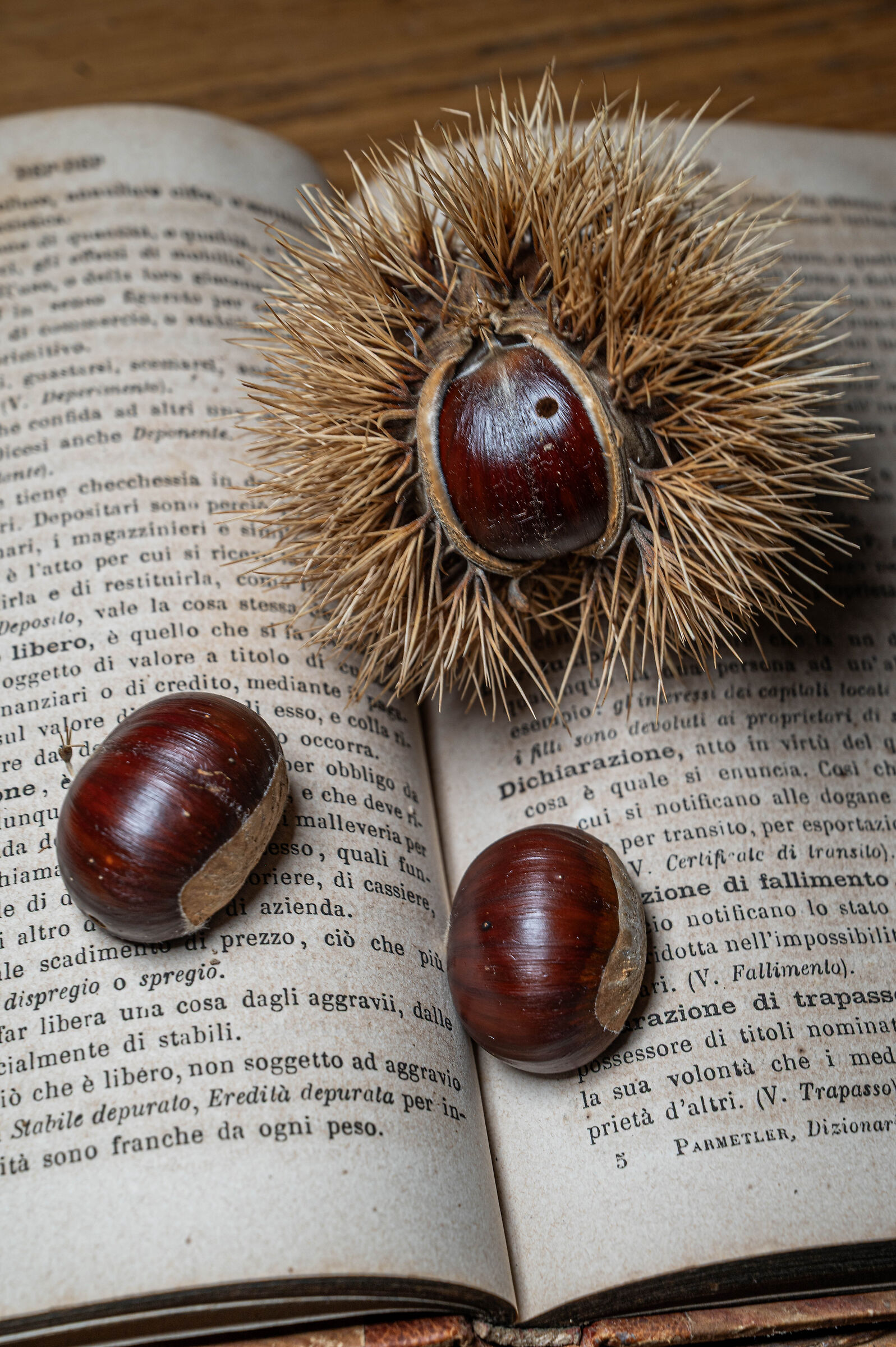 Letture d'autunno