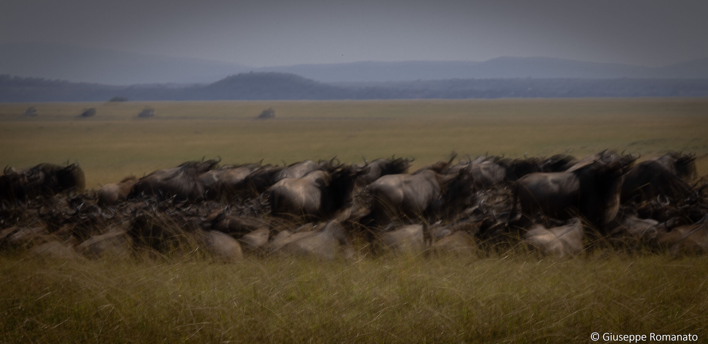 La grande migrazione